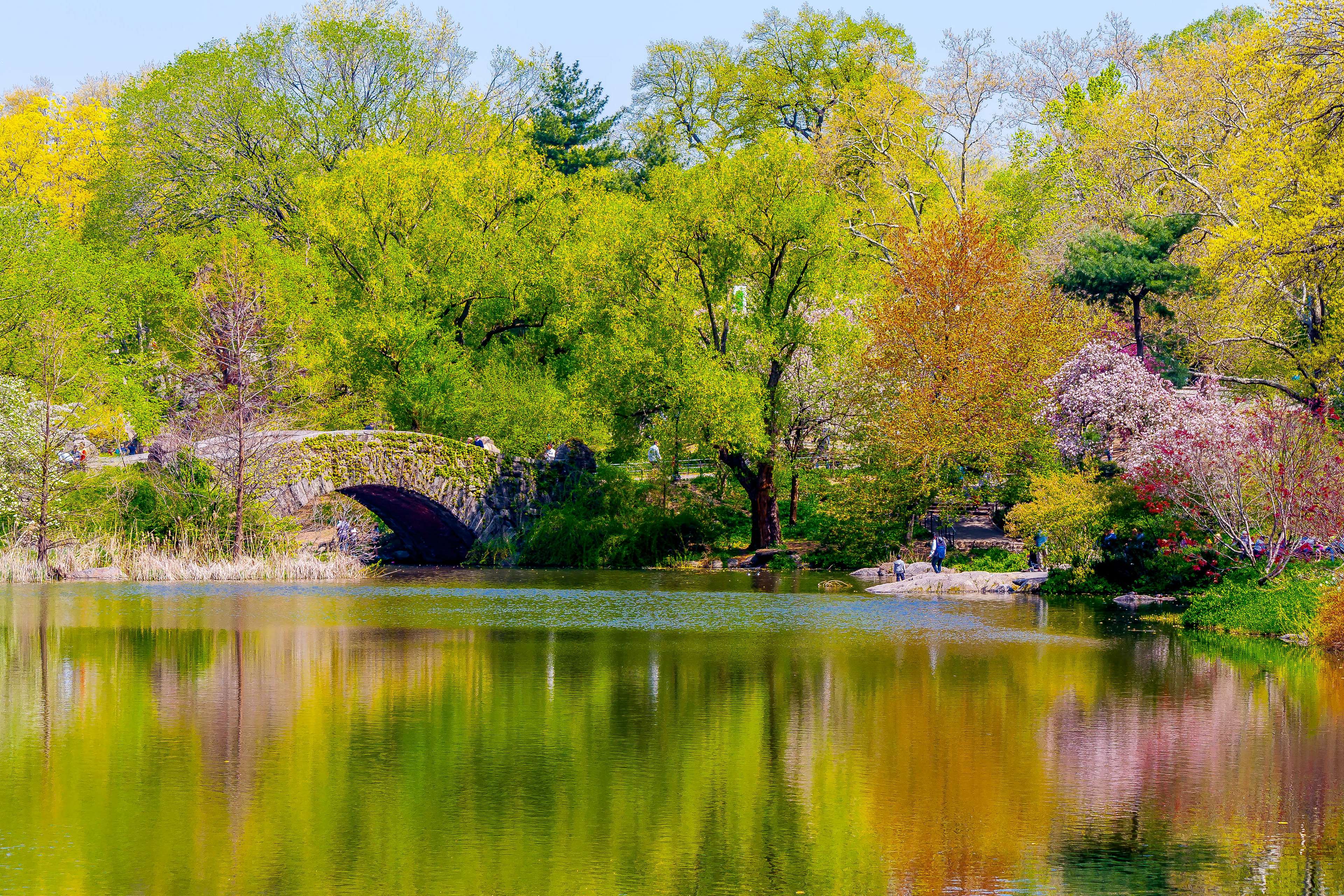 3840x2560 bridge, central park, gapstow bridge, nature, nyc, park, pond, spring, water 4k Gallery HD Wallpaper