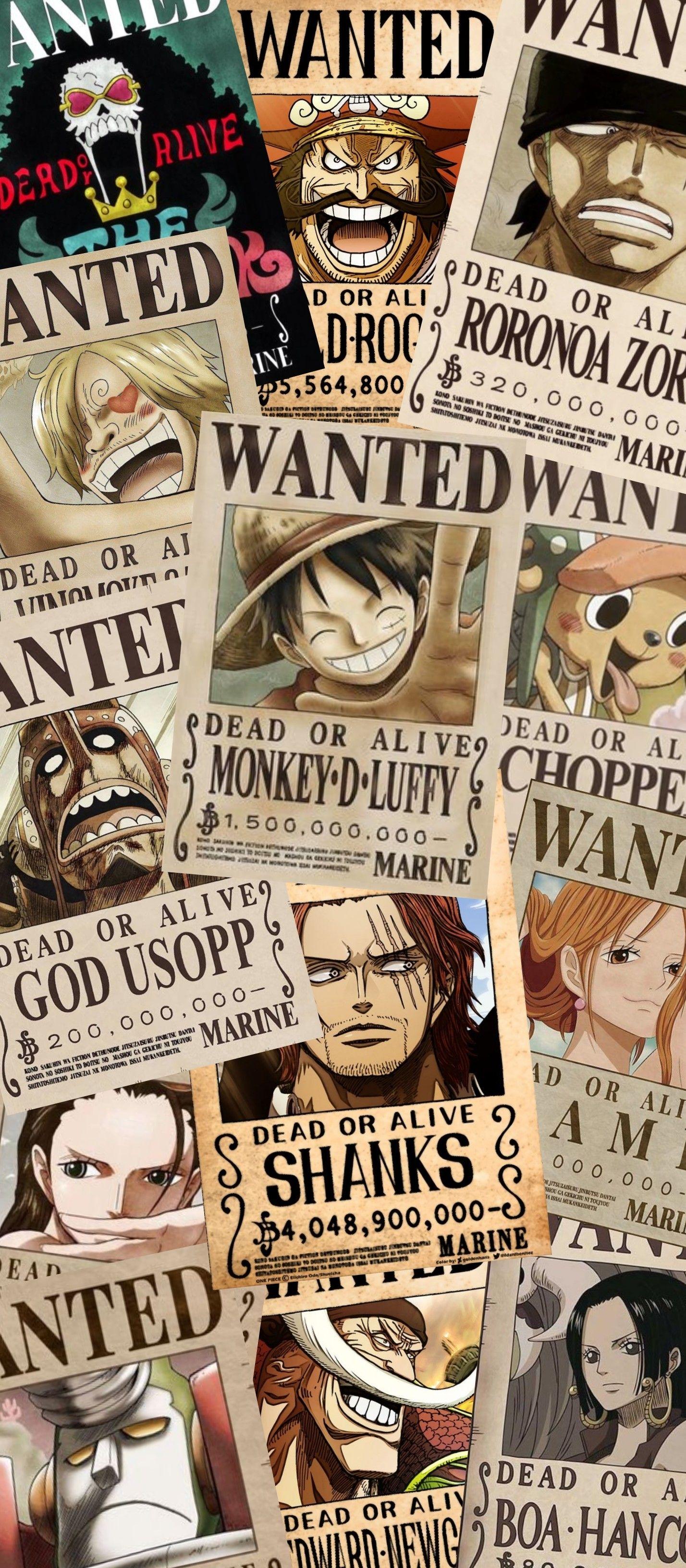 One Piece Bounty Wallpapers  Top Free One Piece Bounty Backgrounds   WallpaperAccess
