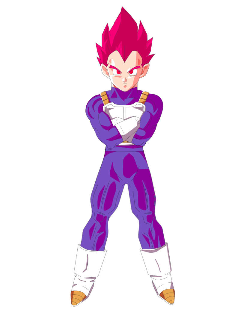 774x1032 vegeta super saiyan god wallpaper