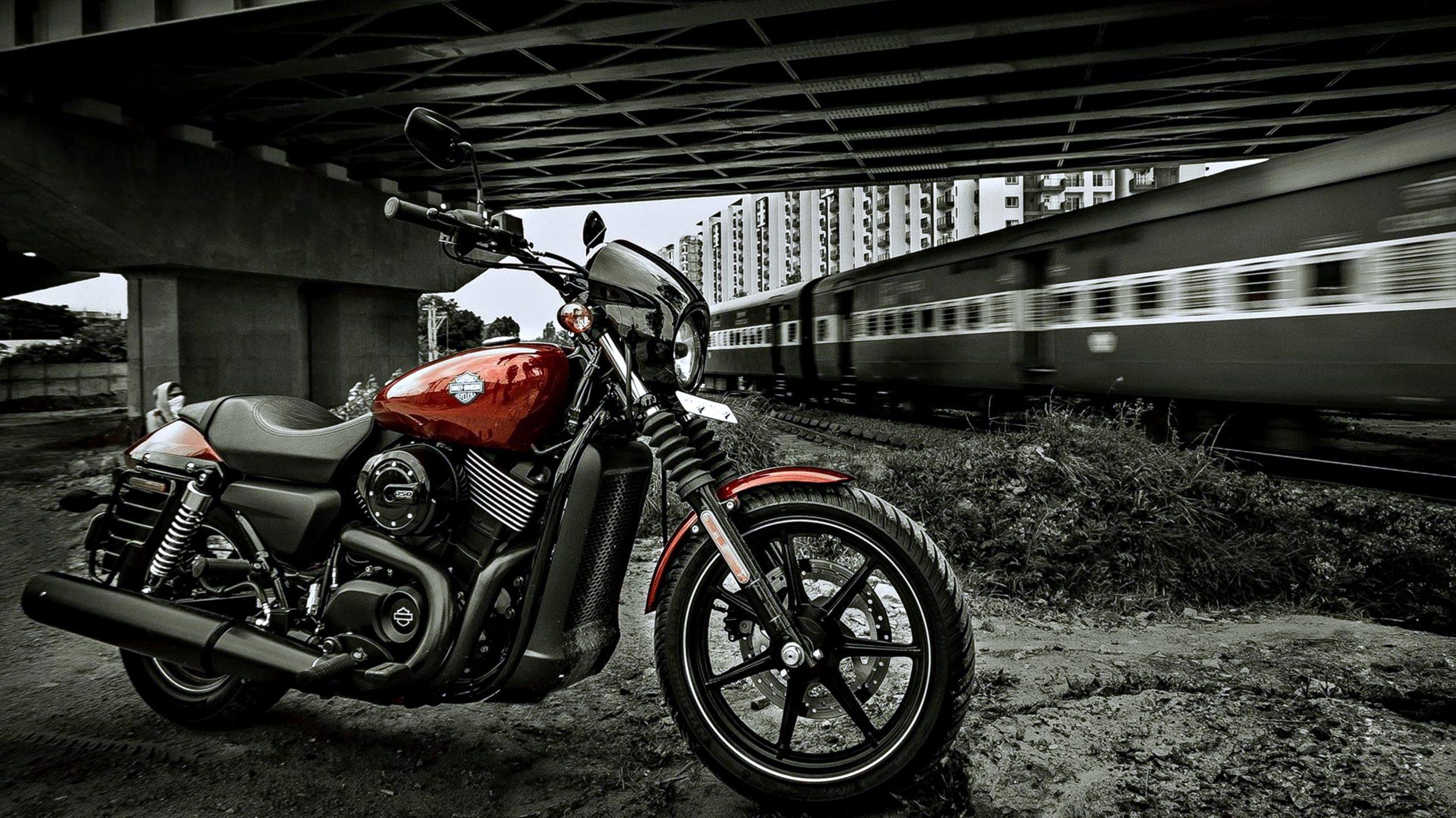 2560x1440 Harley Davidson [4K] Wallpaper