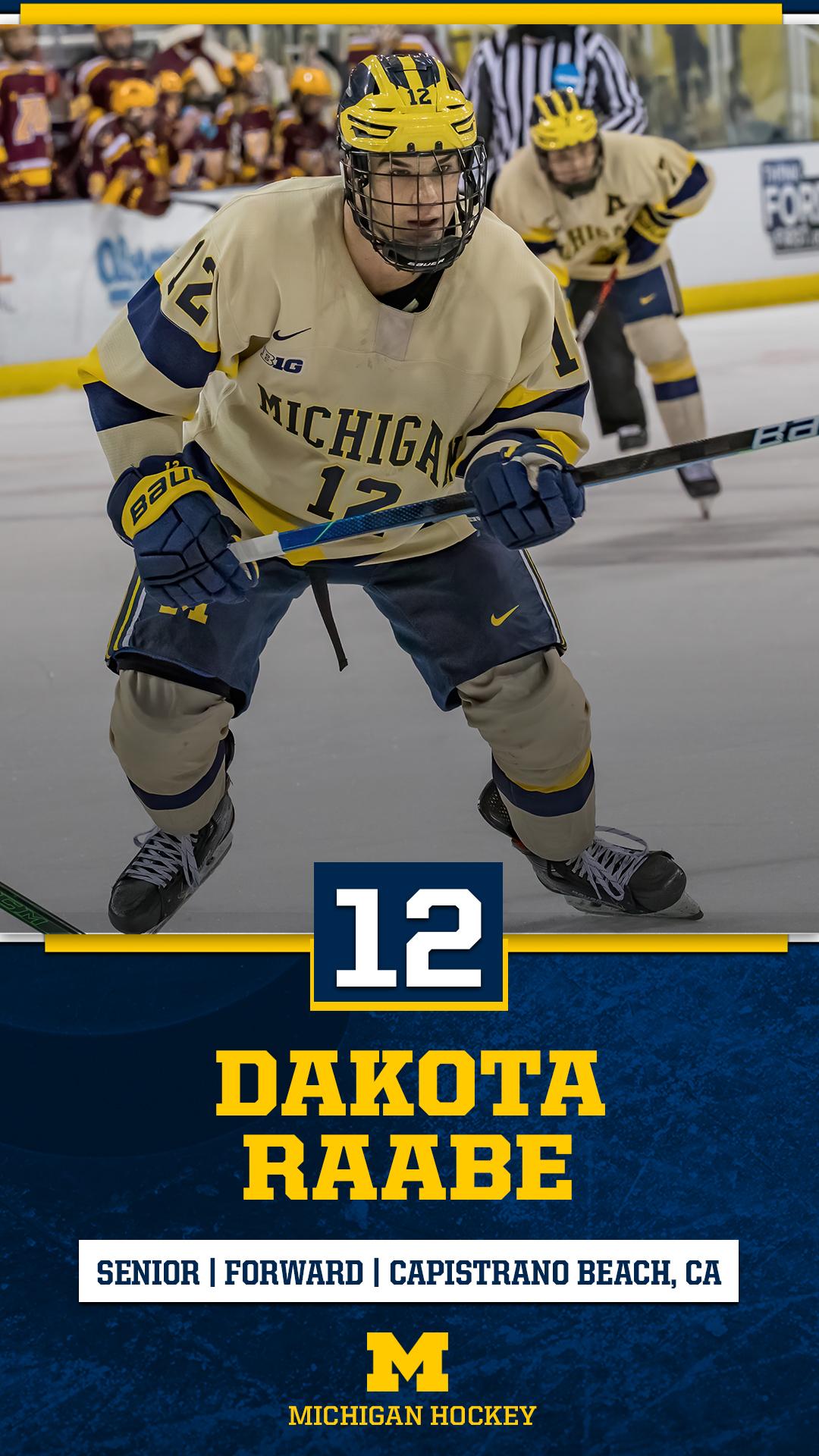 1080x1920 Michigan Hockey something fresh