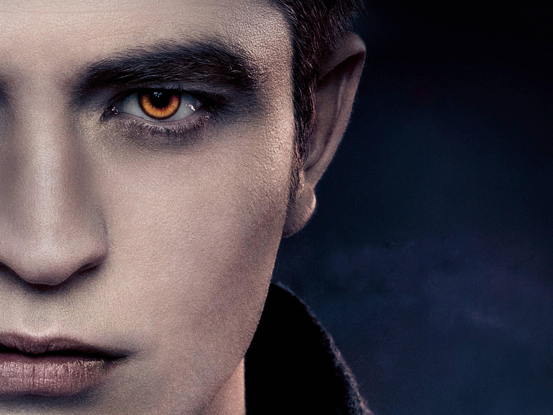 1920x1440 Download The Twilight Saga Edward Cullen Wallpaper