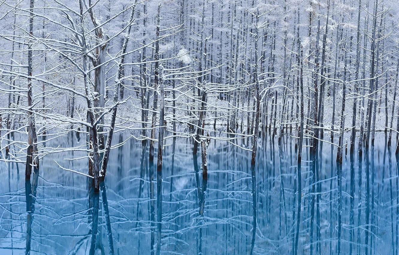 1332x850 Wallpaper winter, water, snow, reflection, trees, island, Japan, Hokkaido image for desktop, section природа