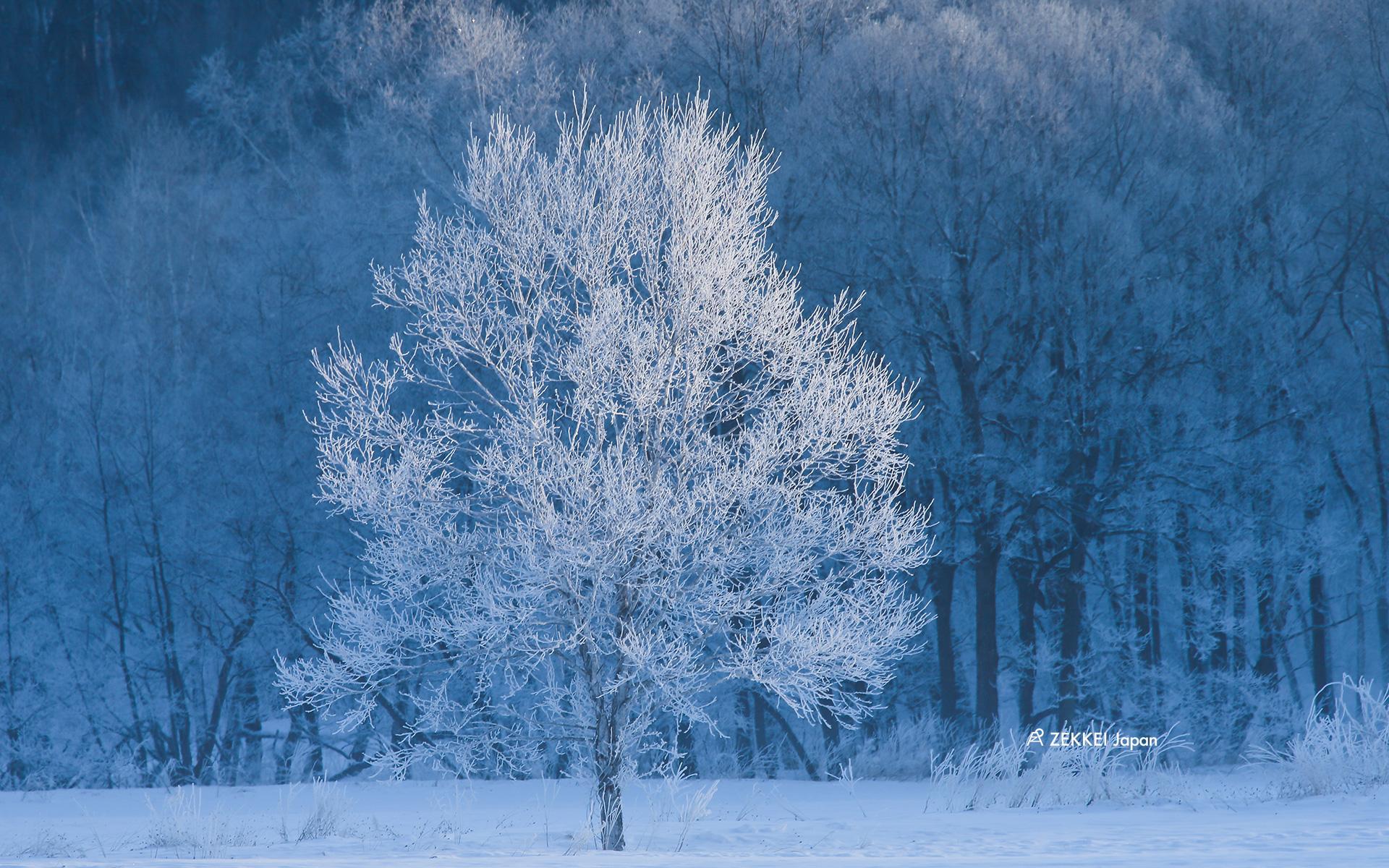 Hokkaido Snow Wallpapers - Top Free Hokkaido Snow Backgrounds