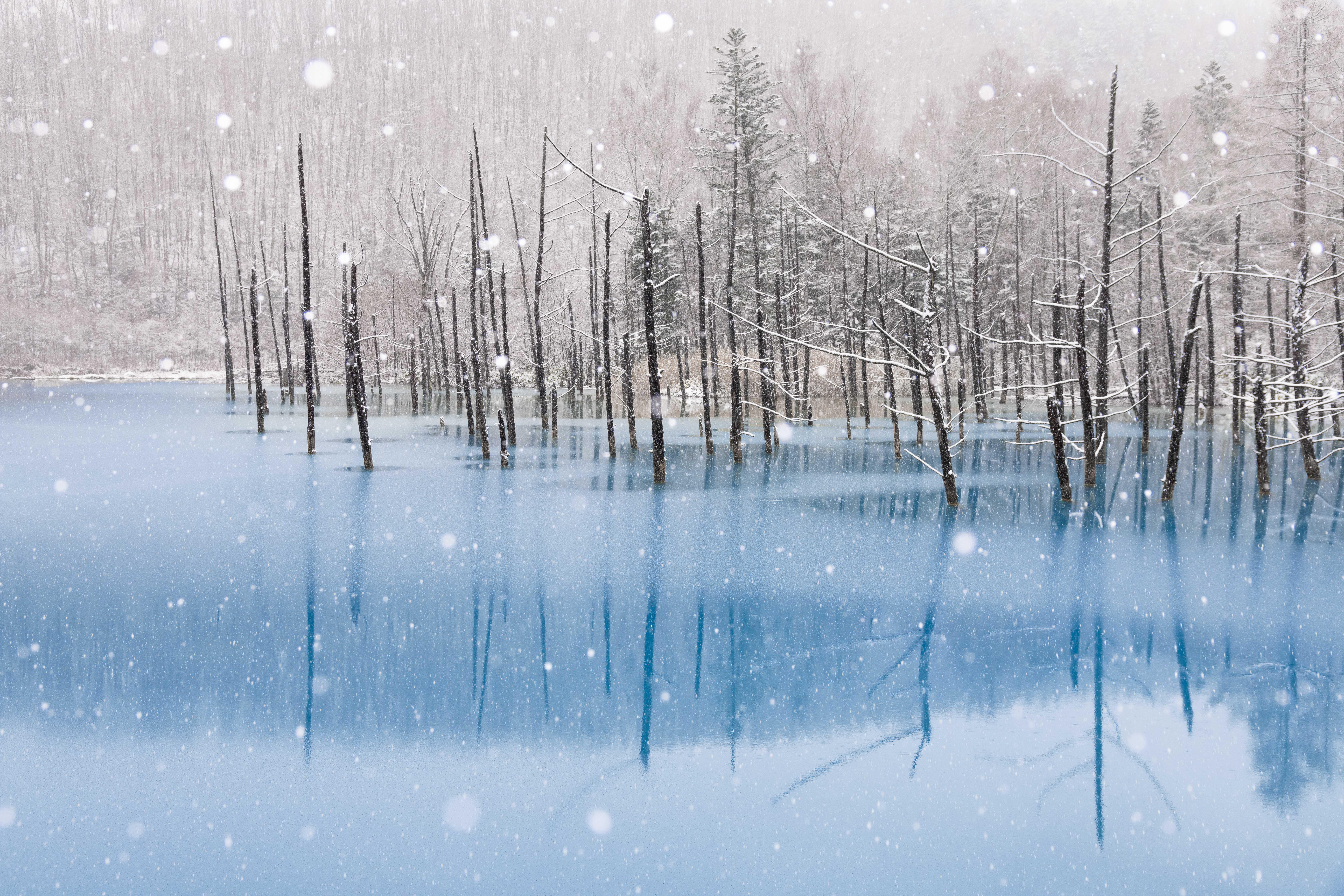 8256x5504 I found the MacBook Pro desktop wallpaper and photographed it yesterday in Biei, Hokkaido! You have a very short window of around 2 weeks from the 1st snow to enjoy it's blue