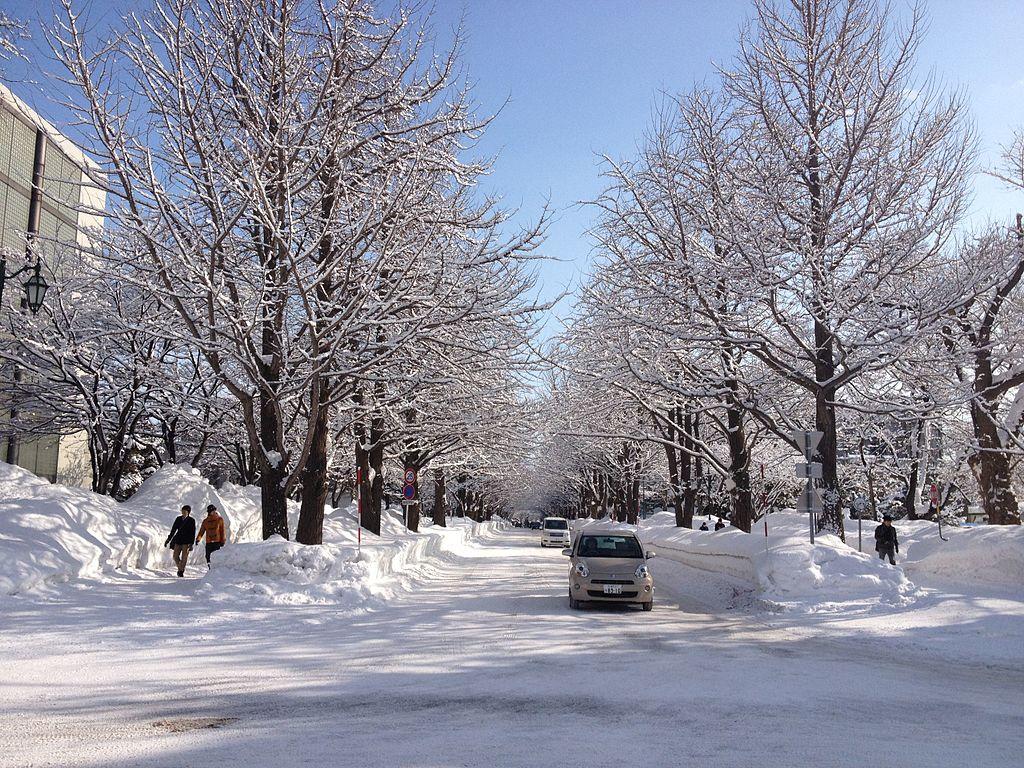 1024x768 Days In Hokkaido Winter Itinerary. Dec Jan