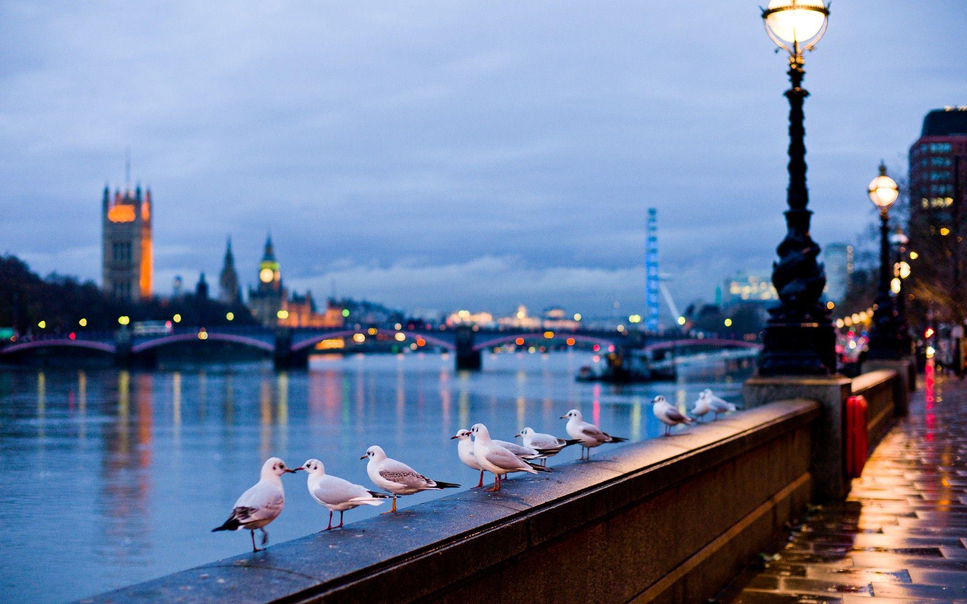 1920x1200 London Rain Wallpaper