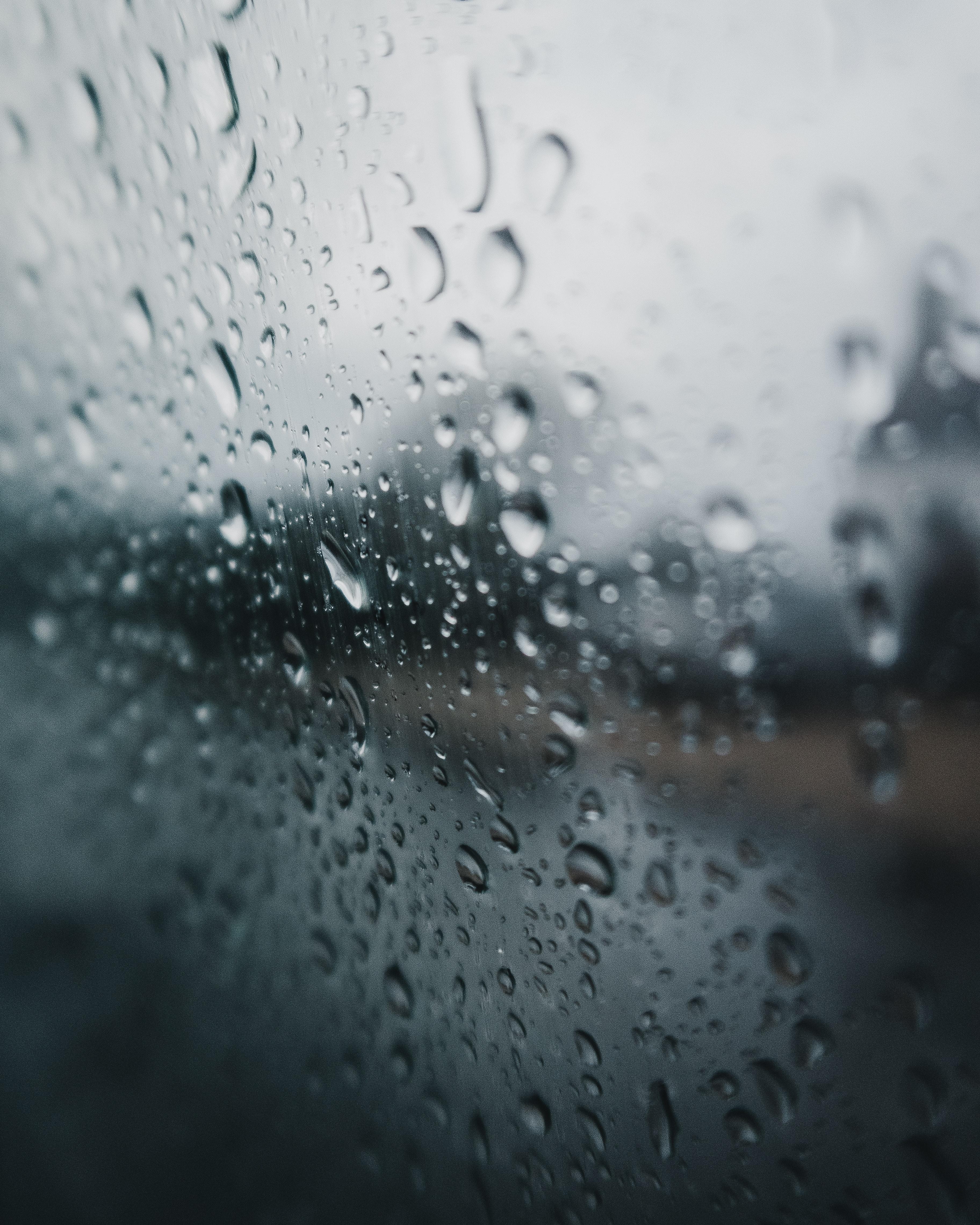 3648x4560 Rain Photo, Download The BEST Free Rain & HD Image