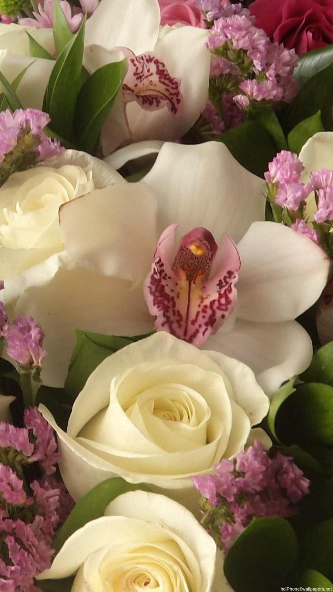 1080x1920 beautiful rose flowers leaves iPhone 6 wallpaper HD