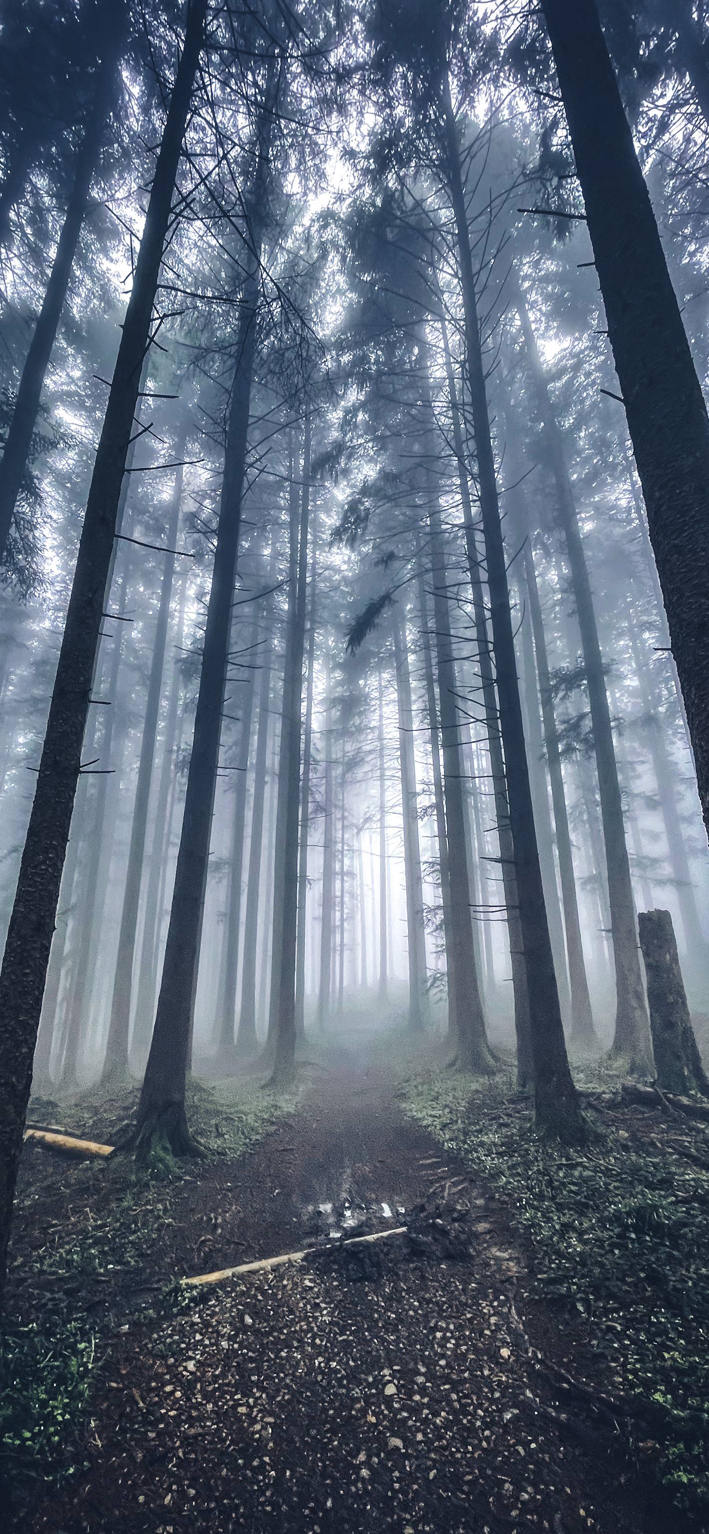 Running Phone Wallpapers - Top Free Running Phone Backgrounds - WallpaperAccess