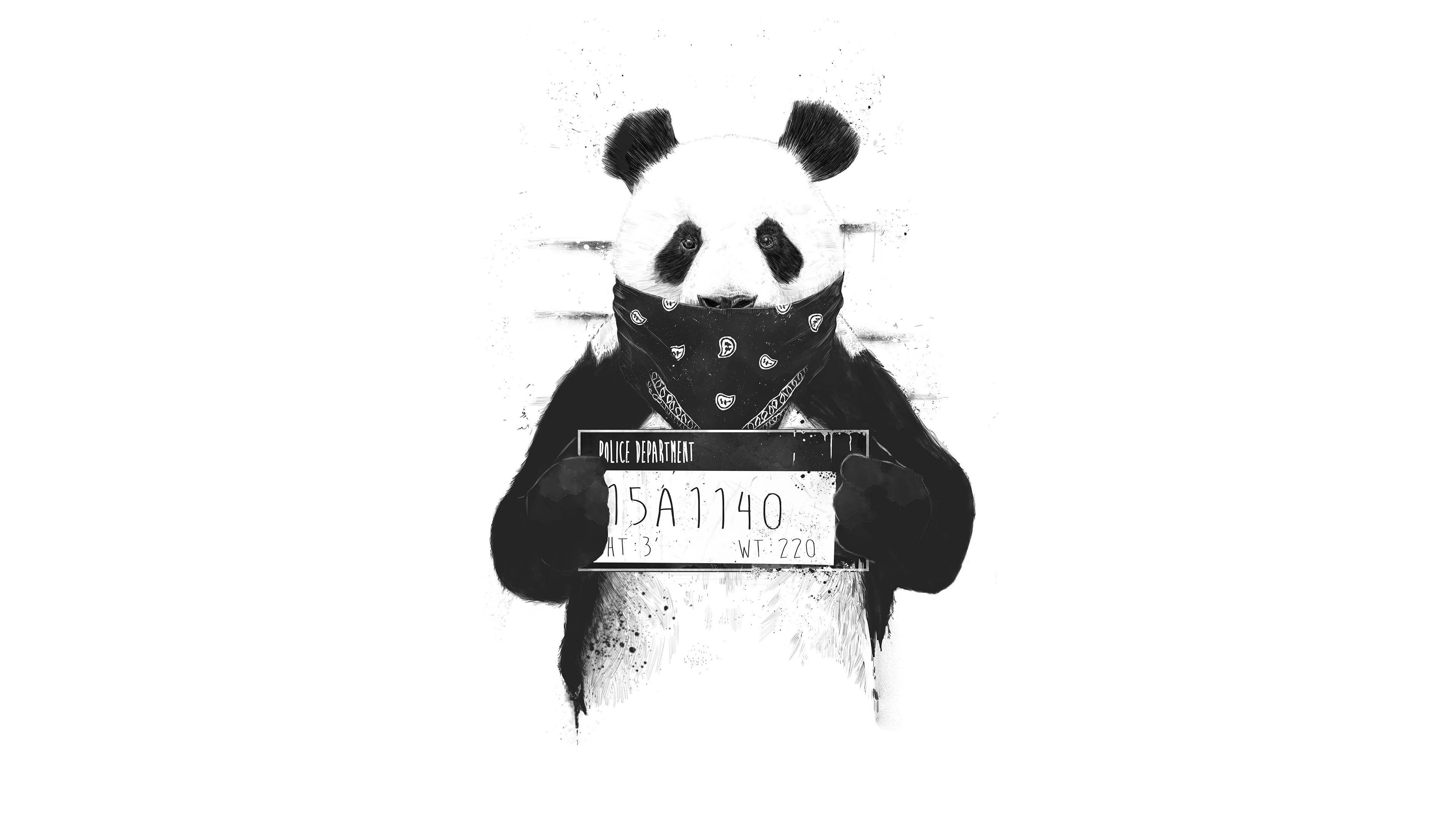 3840x2160 Wallpaper 4k Bad Panda 4k Wallpaper
