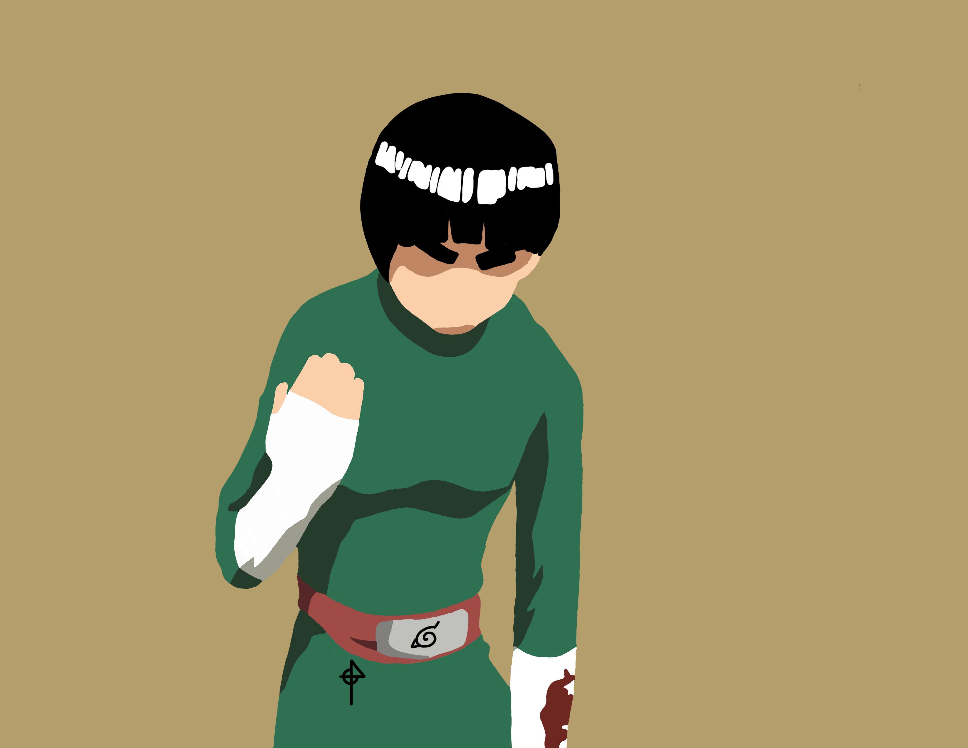 3300x2550 Rock lee minimalistic fan art
