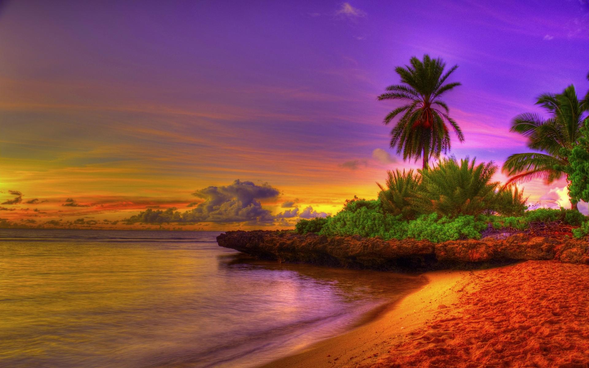 1920x1200 Summer Exotic Beach Background​-Quality Free Image and Transparent PNG Clipart
