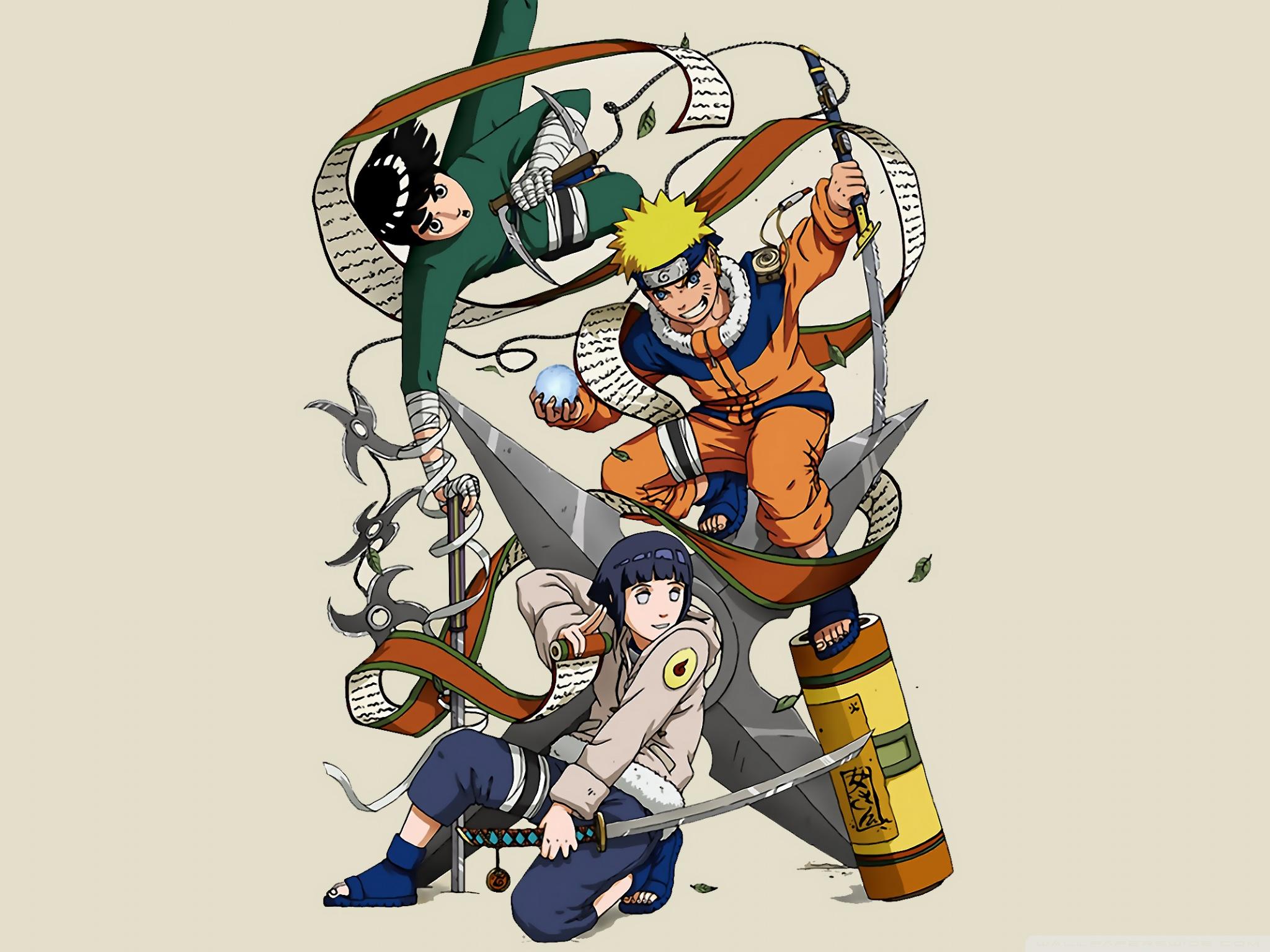 2048x1536 Rock Lee HD Wallpaper