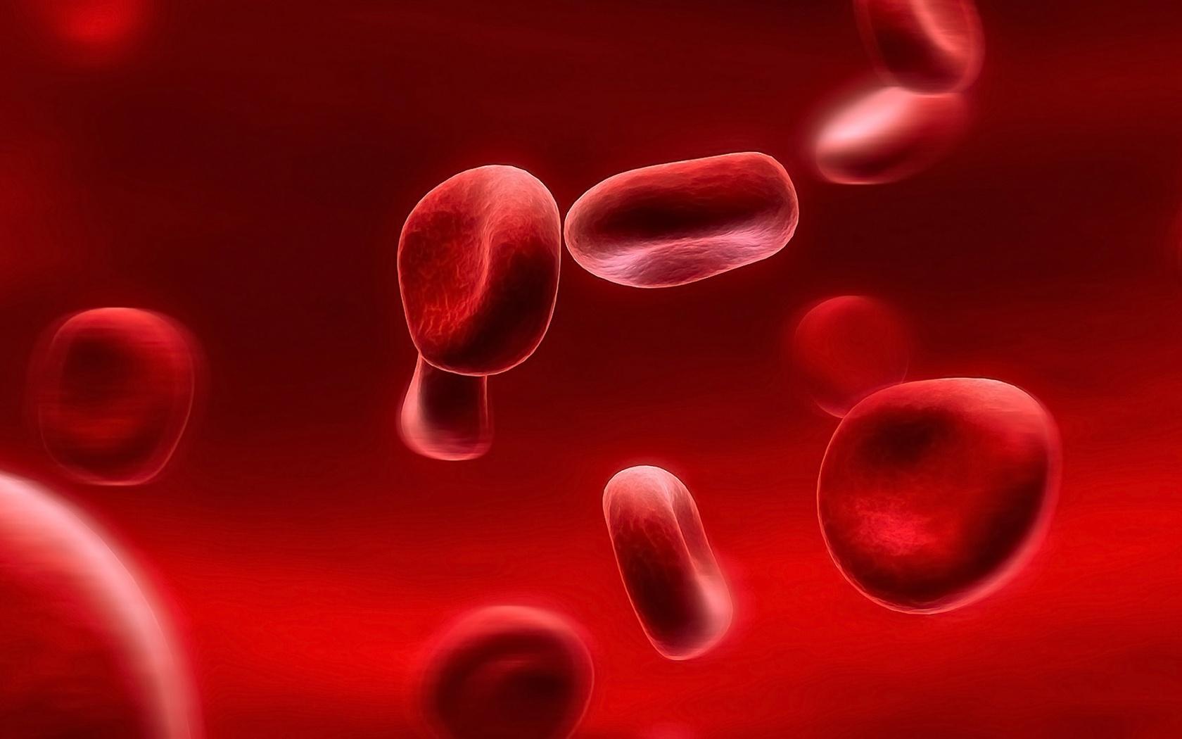 1680x1050 Wallpaper Red blood cells 1920x1080 Full HD 2K Picture, Image