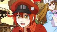197x111 Red Blood Cell 4K 8K HD Cells at Work! (Hataraku Saibou) Wallpaper