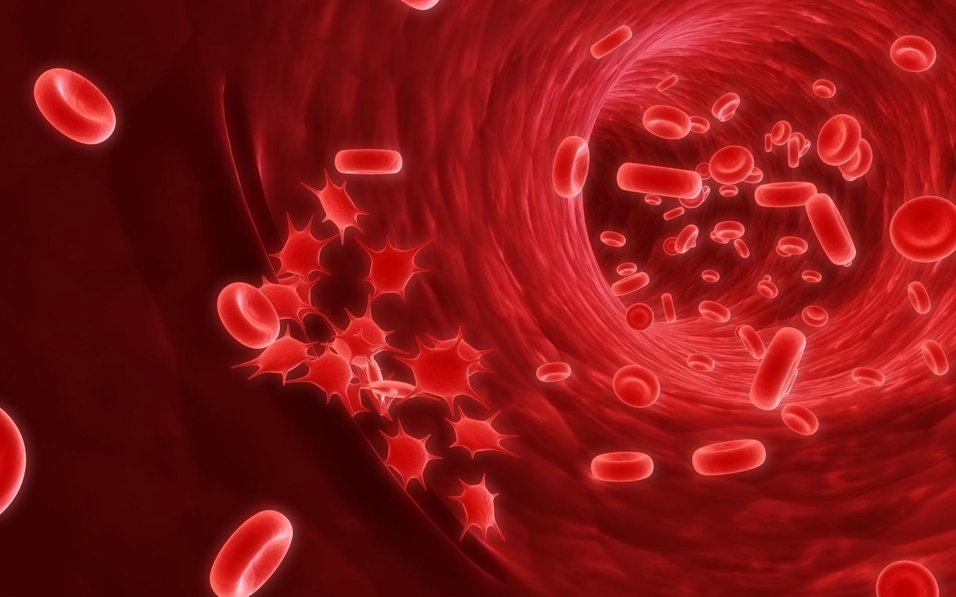 1920x1200 Wallpaper / cells, red, cell, digital art, 1080P, 1920x illustration, blood free download