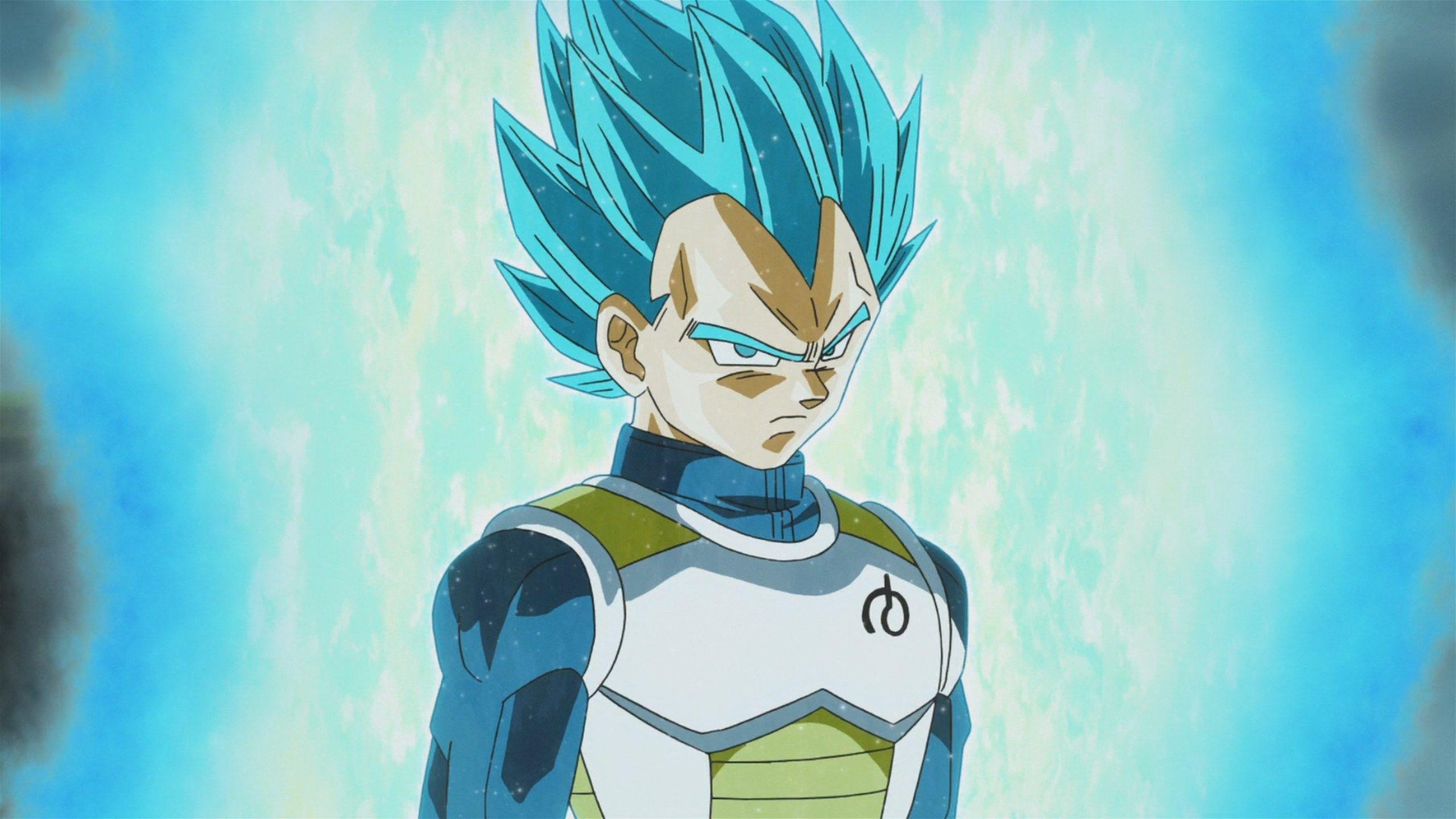 2560x1440 Dragon Ball Z Vegita HD Wallpaper