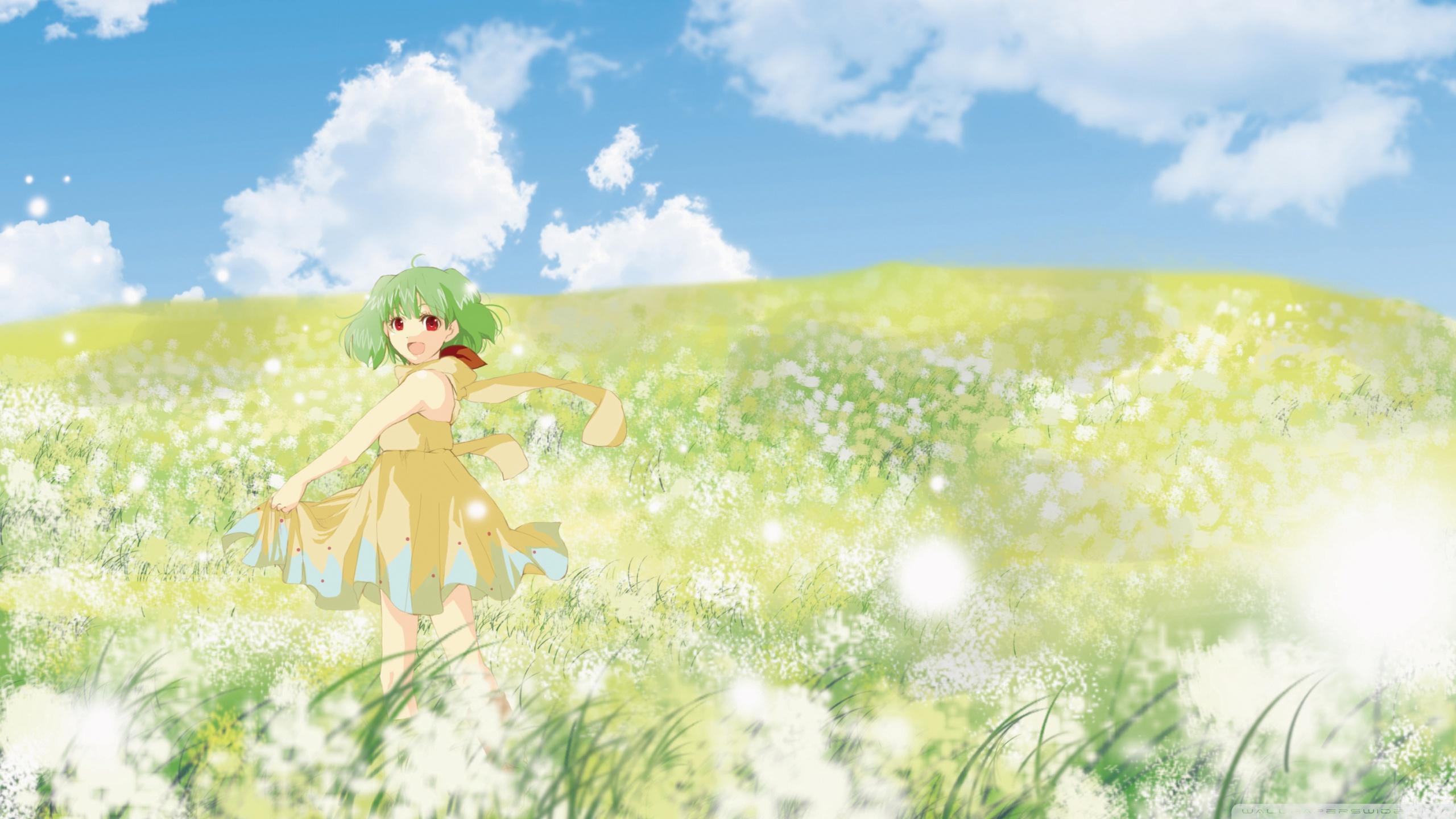 Anime Girls in a Wildflower Field 8k Graphic · Creative Fabrica