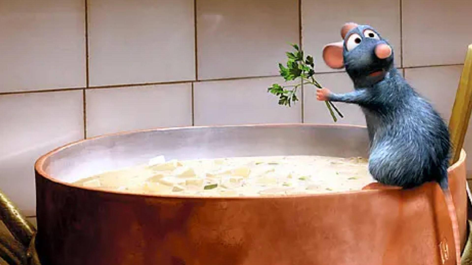 Ratatouille Cooking Wallpapers Top Free Ratatouille Cooking Backgrounds WallpaperAccess