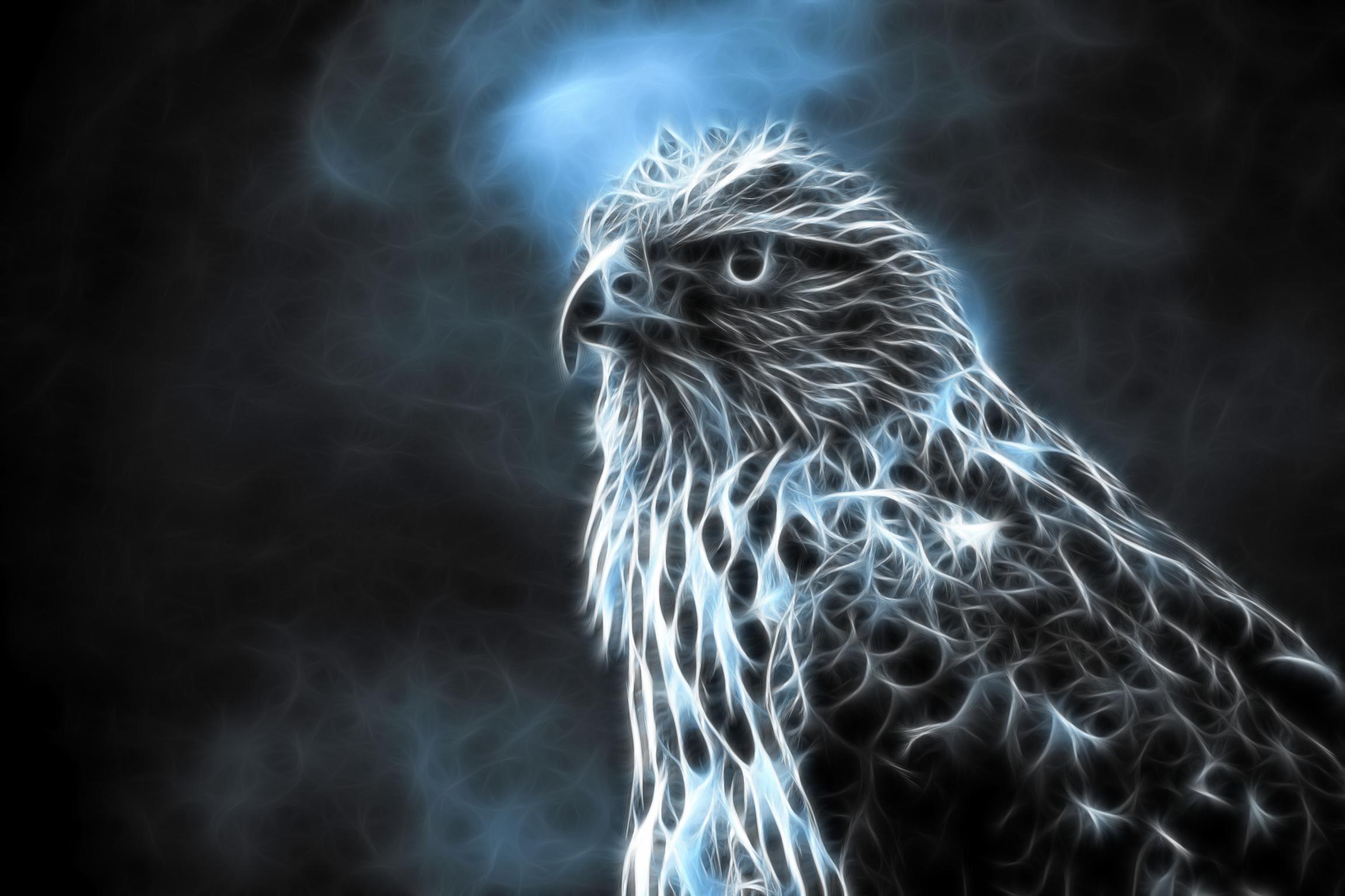 2304x1536 Falcon HD Wallpaper