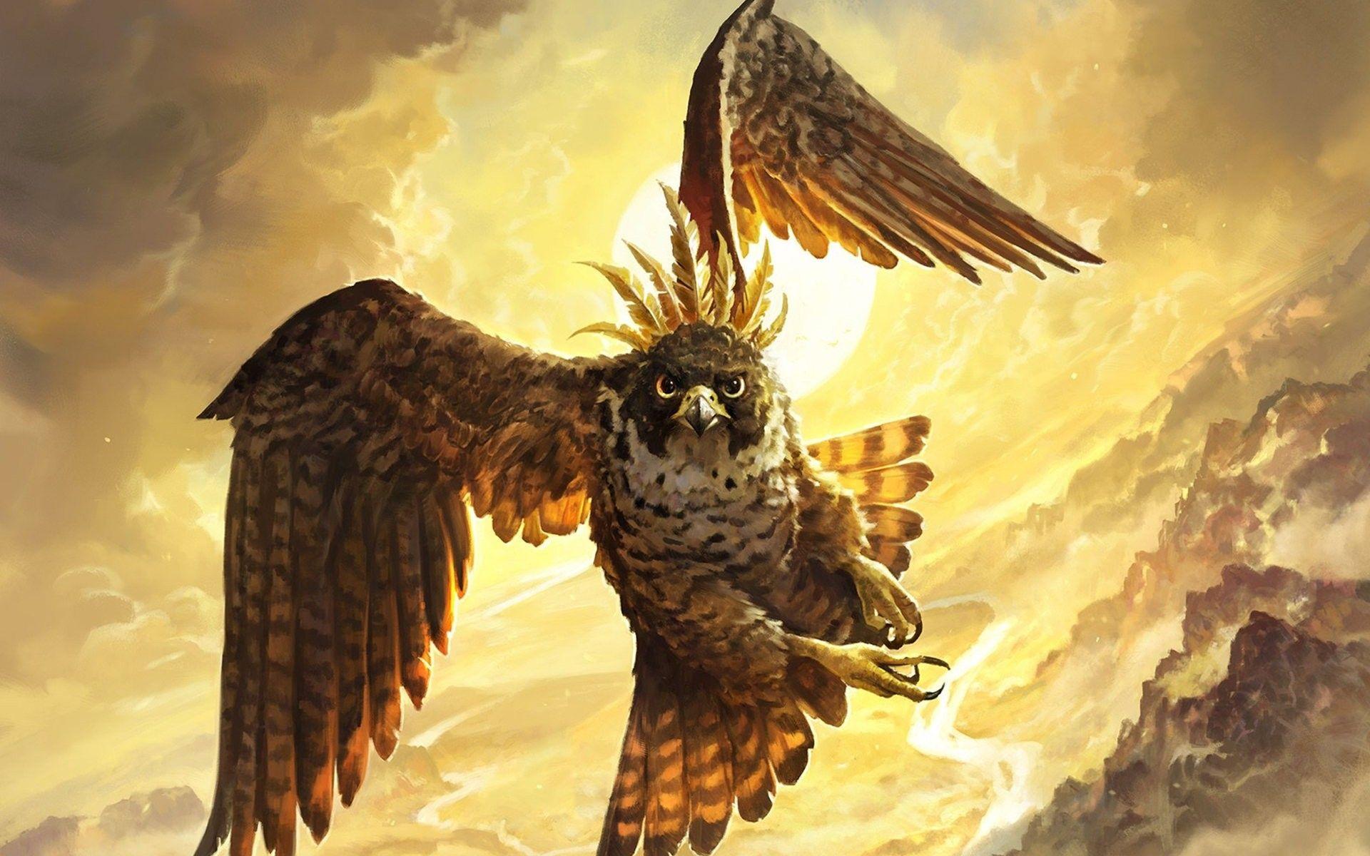 1920x1200 Falcon Bird Wallpaper