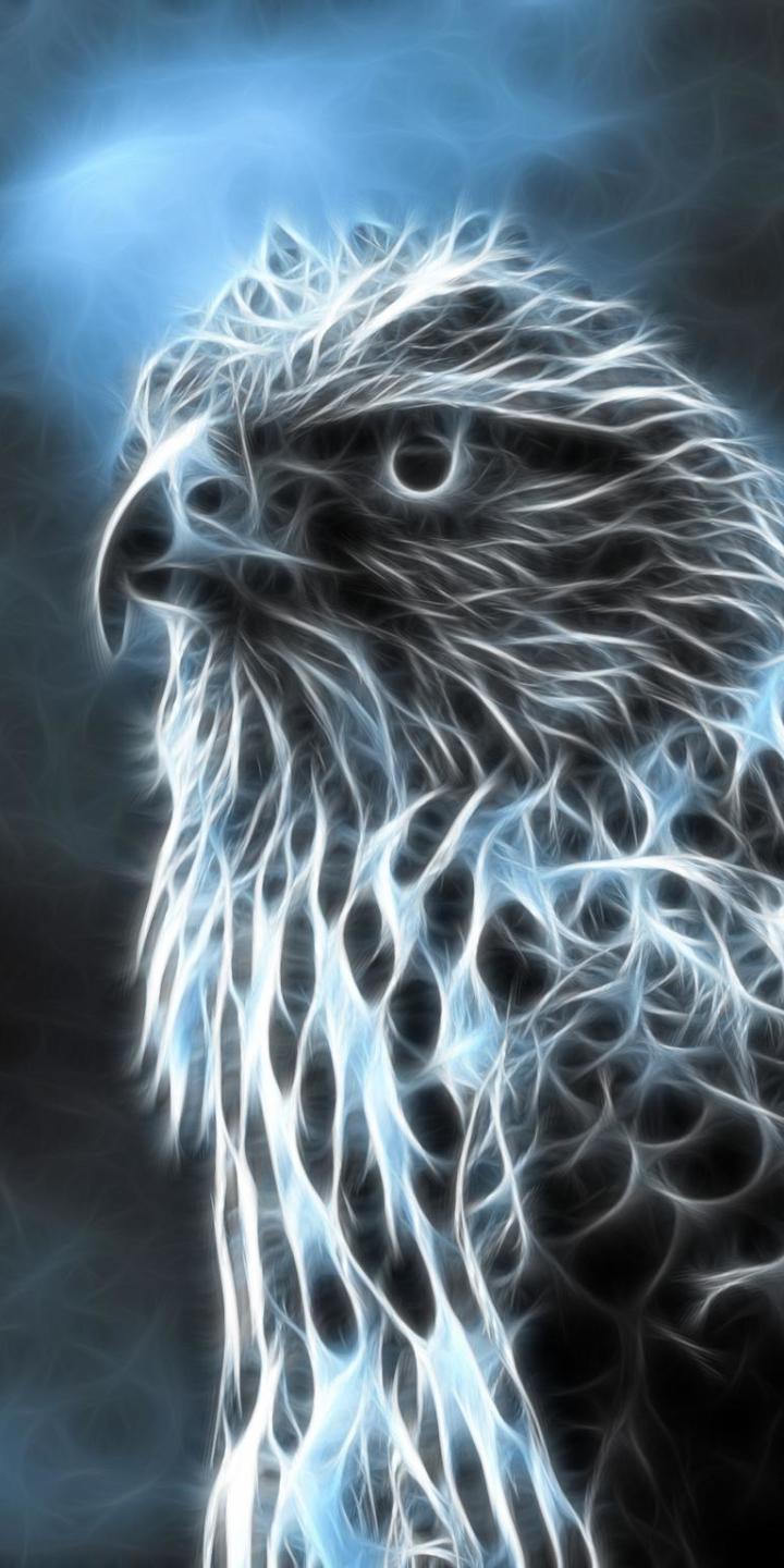 720x1440 Falcon Phone Wallpaper