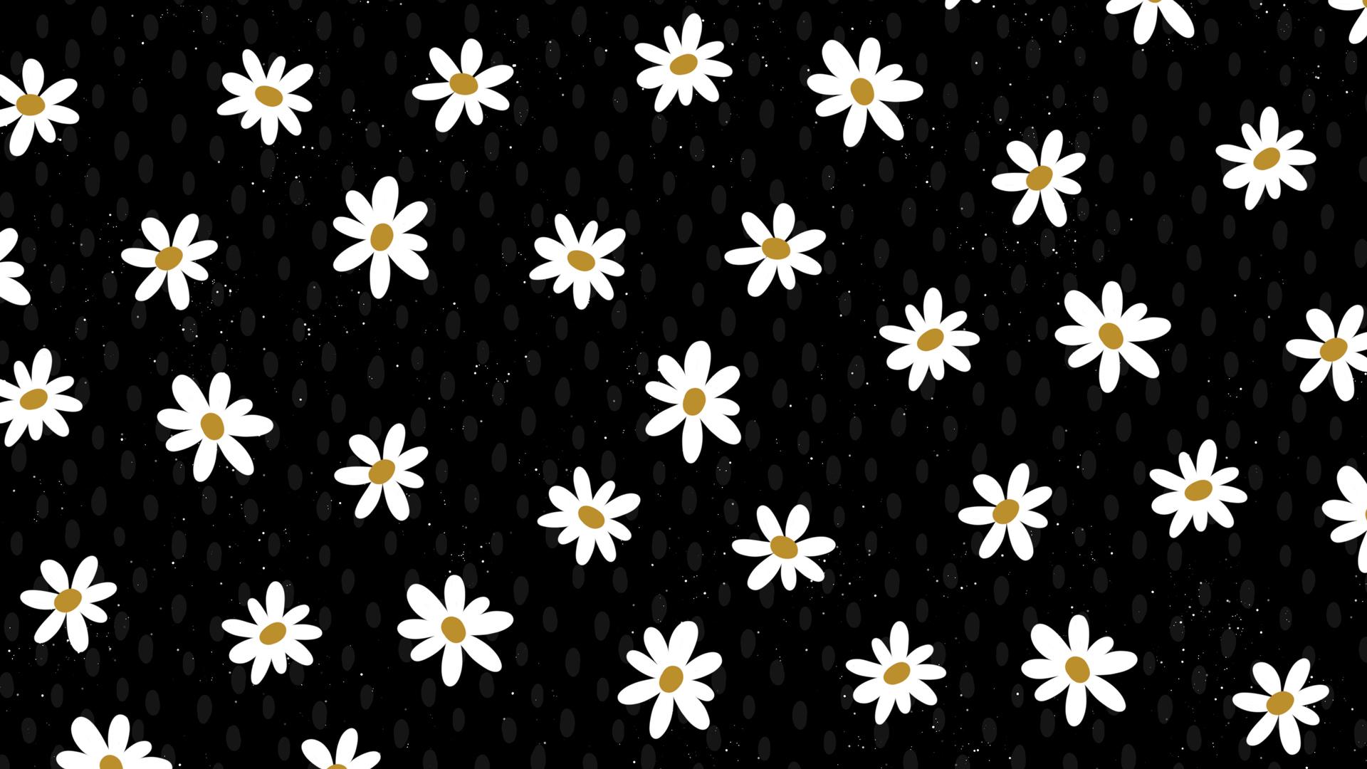 1920x1080 Daisy Flower Pattern Abstract 4k Laptop Full HD 1080P HD 4k Wallpaper, Image, Background, Photo and Picture