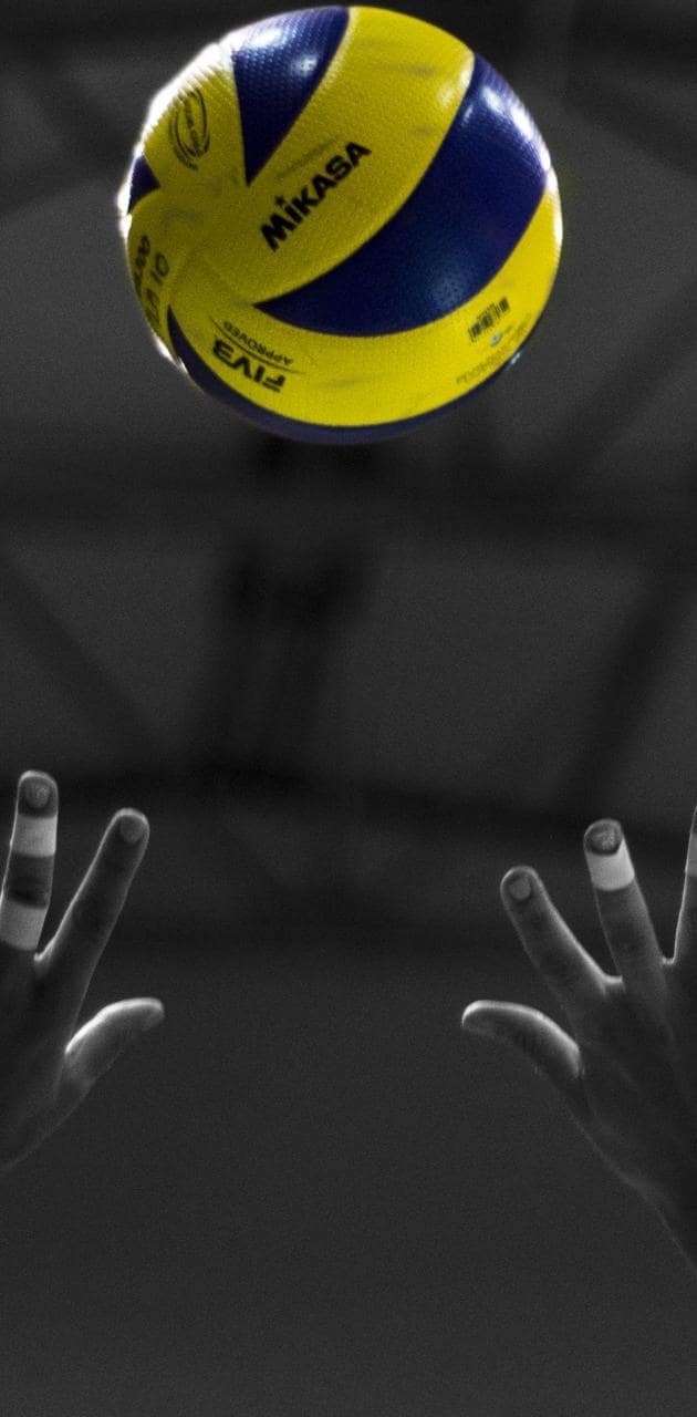 630x1280 Volleyball Wallpaper