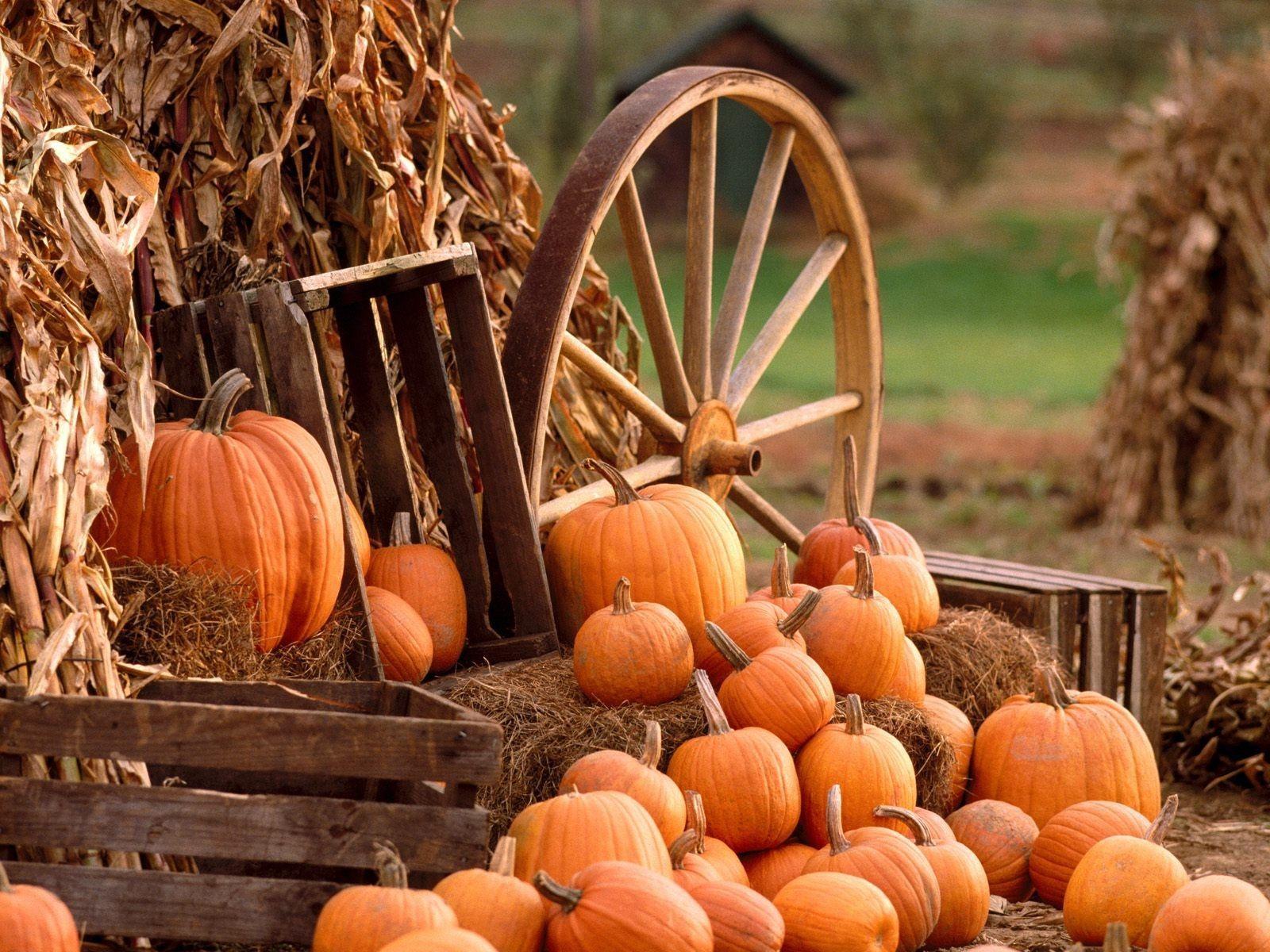 1600x1200 Harvest Autumn Wallpaper