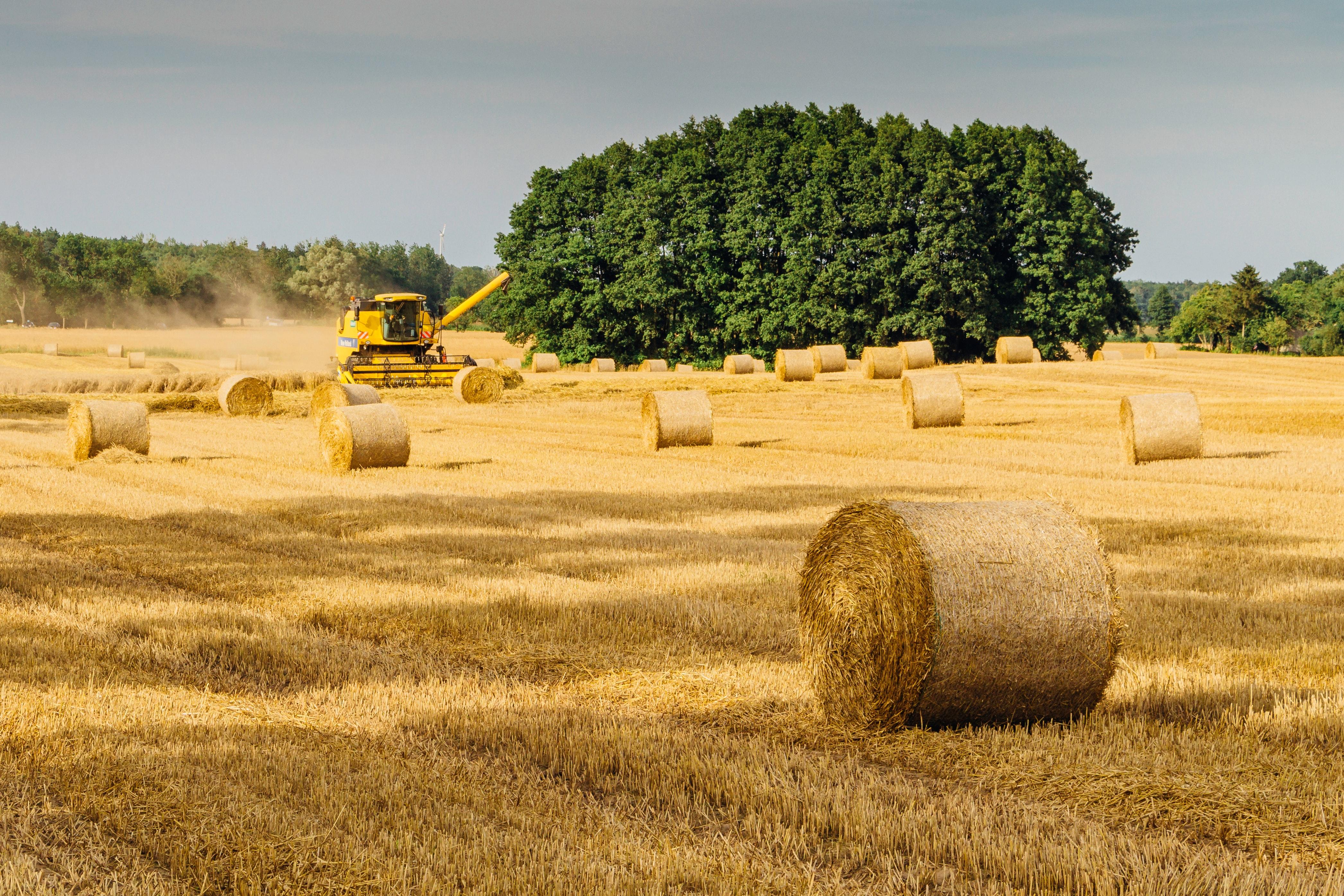 4185x2790 Harvest Time Photo, Download The BEST Free Harvest Time & HD Image