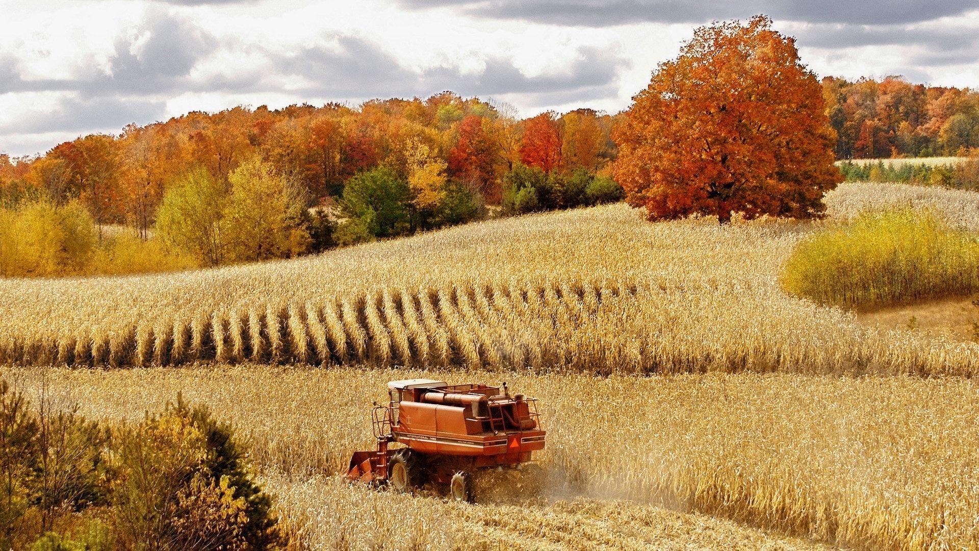 1920x1080 Harvest HD Wallpaper and Background