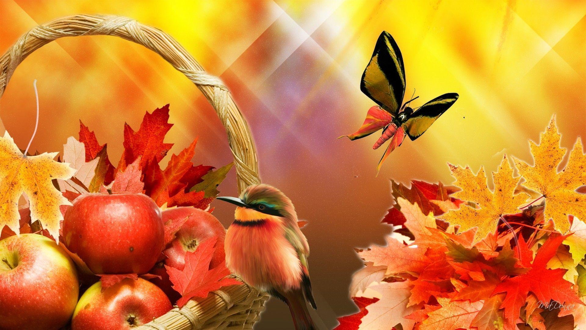 1920x1080 Fall Harvest Wallpaper