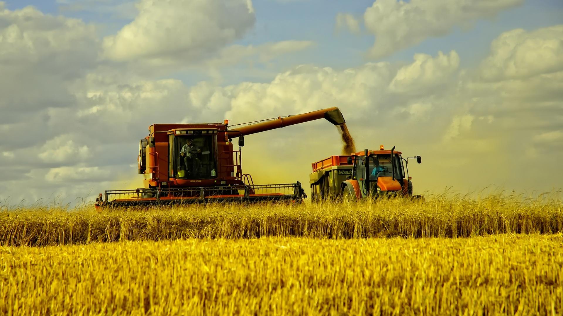 1920x1080 Harvest desktop PC and Mac wallpaper
