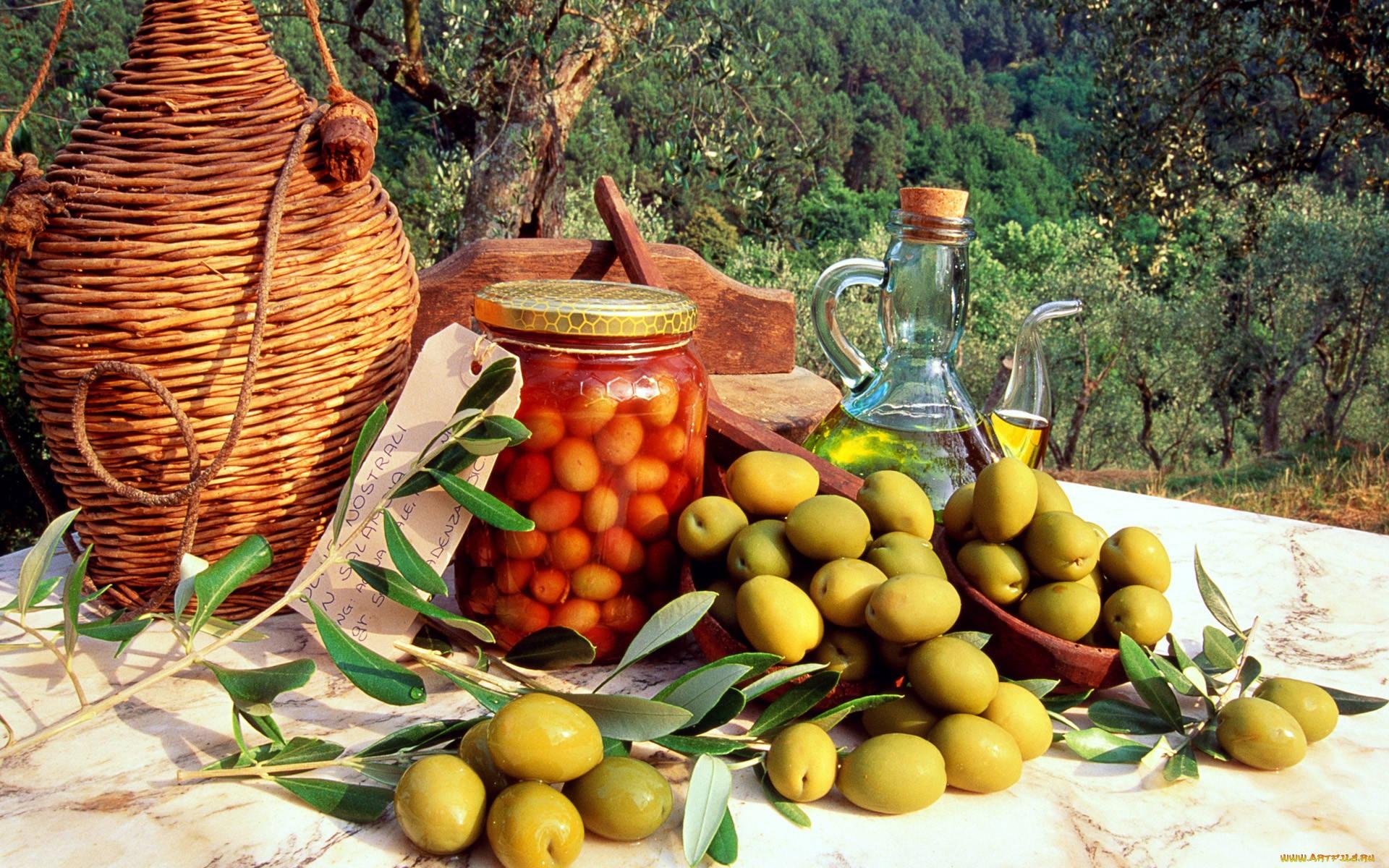 1920x1200 Download Harvest Time Olive Fruit Wallpaper