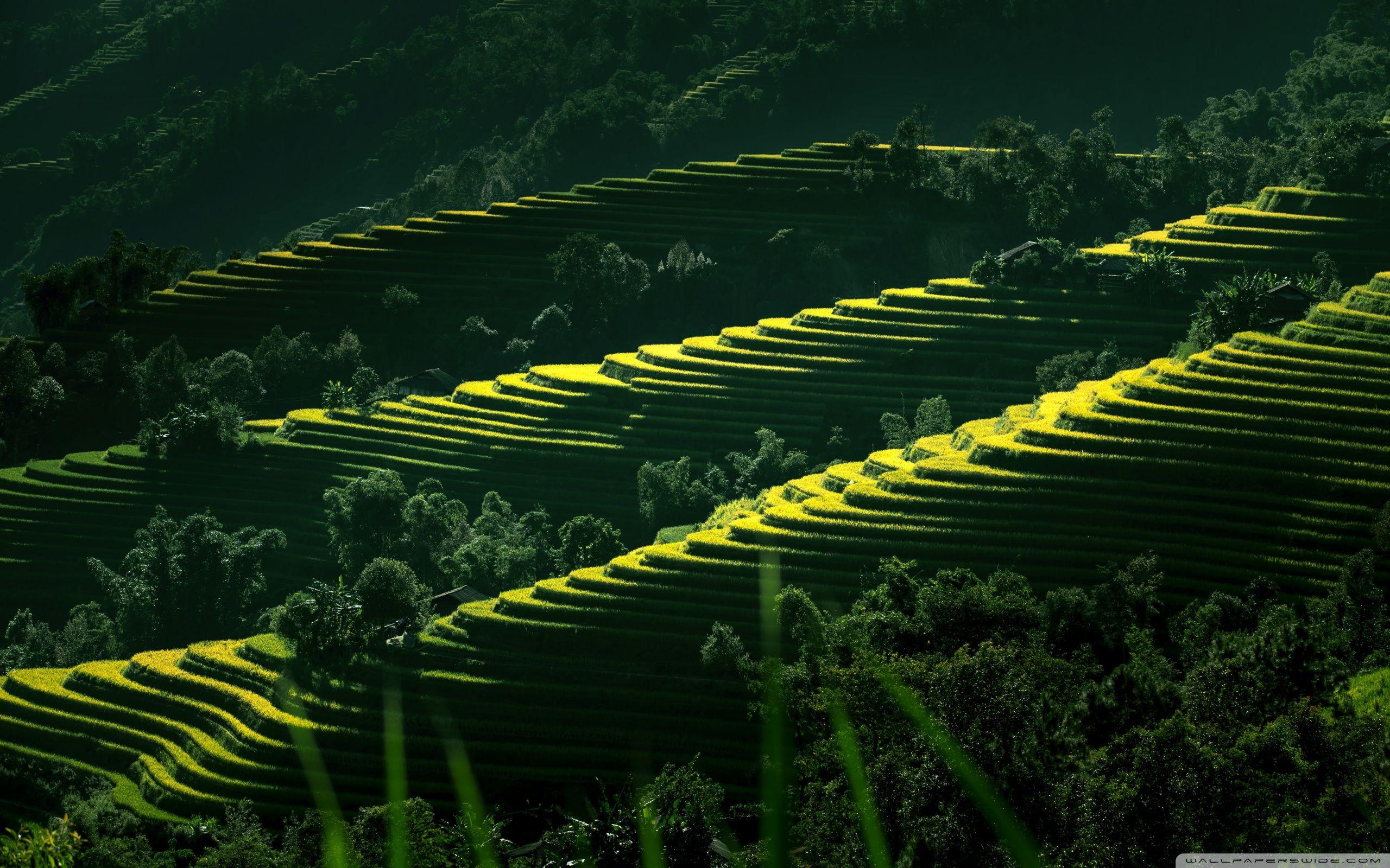 2560x1600 Vietnam Nature Scenery ❤ 4K HD Desktop Wallpaper for • Dual Monitor