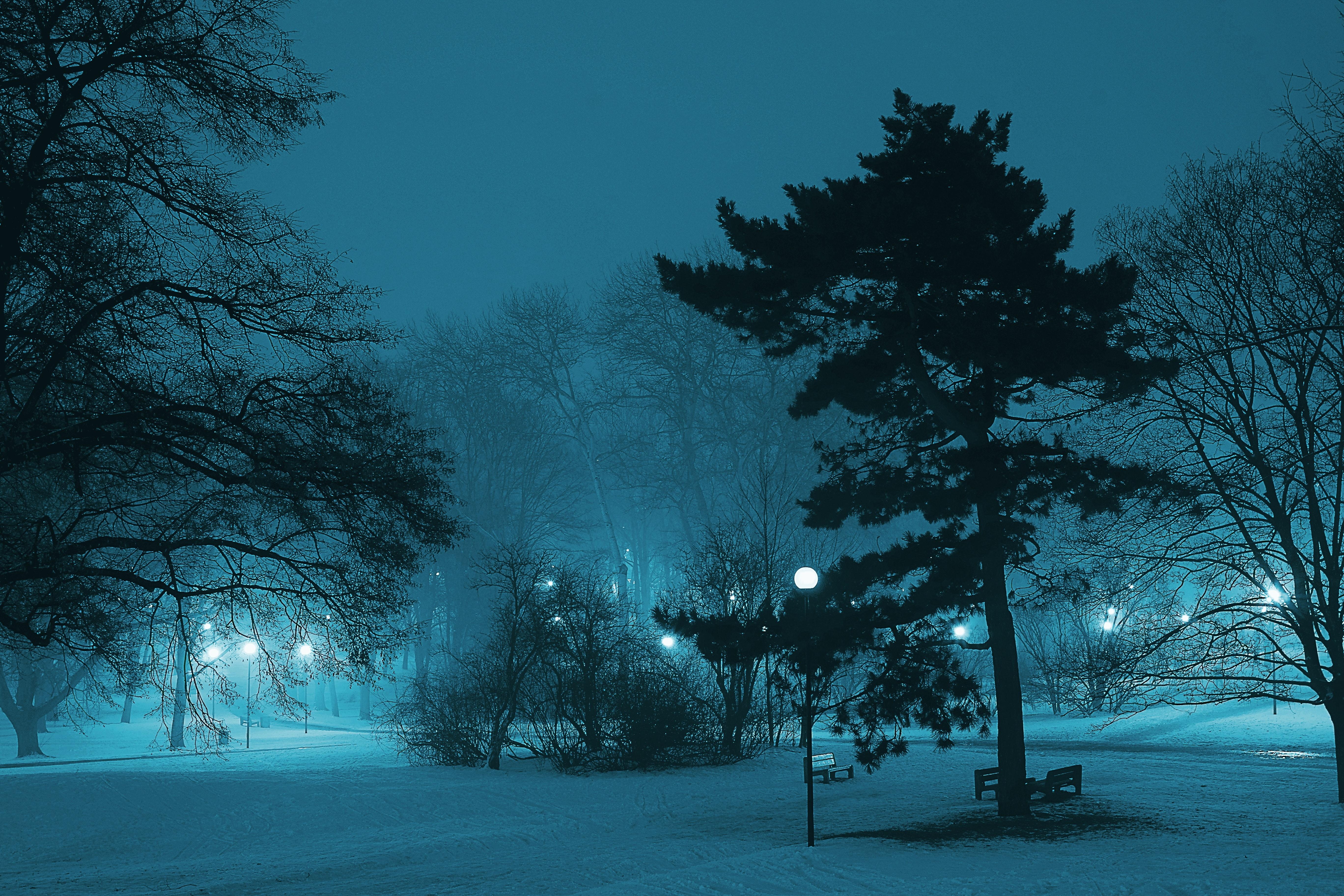 5472x3648 Snow Night Photo, Download The BEST Free Snow Night & HD Image