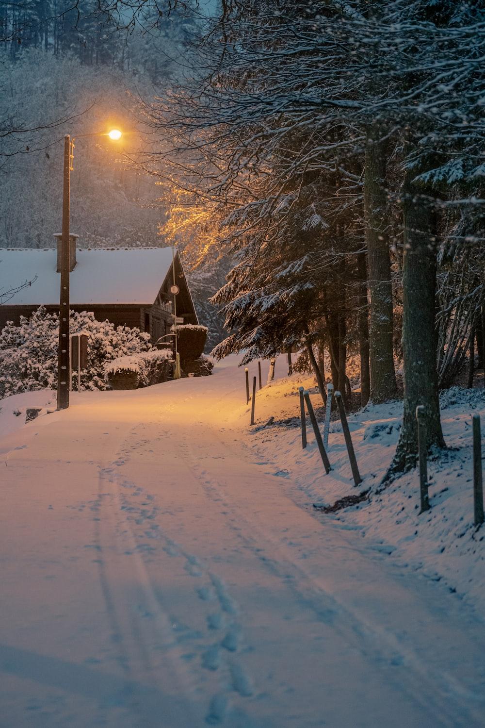 1000x1500 Best Snow Night Picture [HD]. Download Free Image