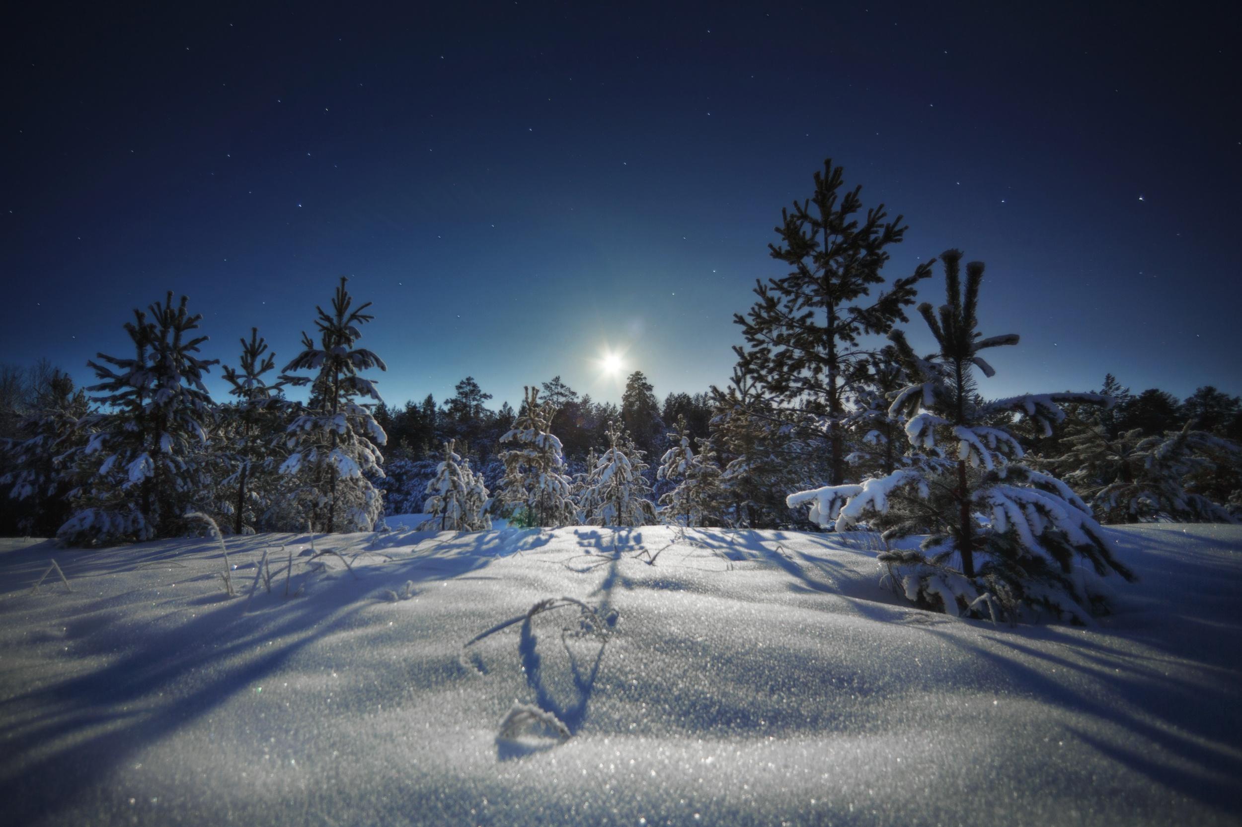 2500x1666 Winter HD, Nature, Sky, Night, Snow Gallery HD Wallpaper
