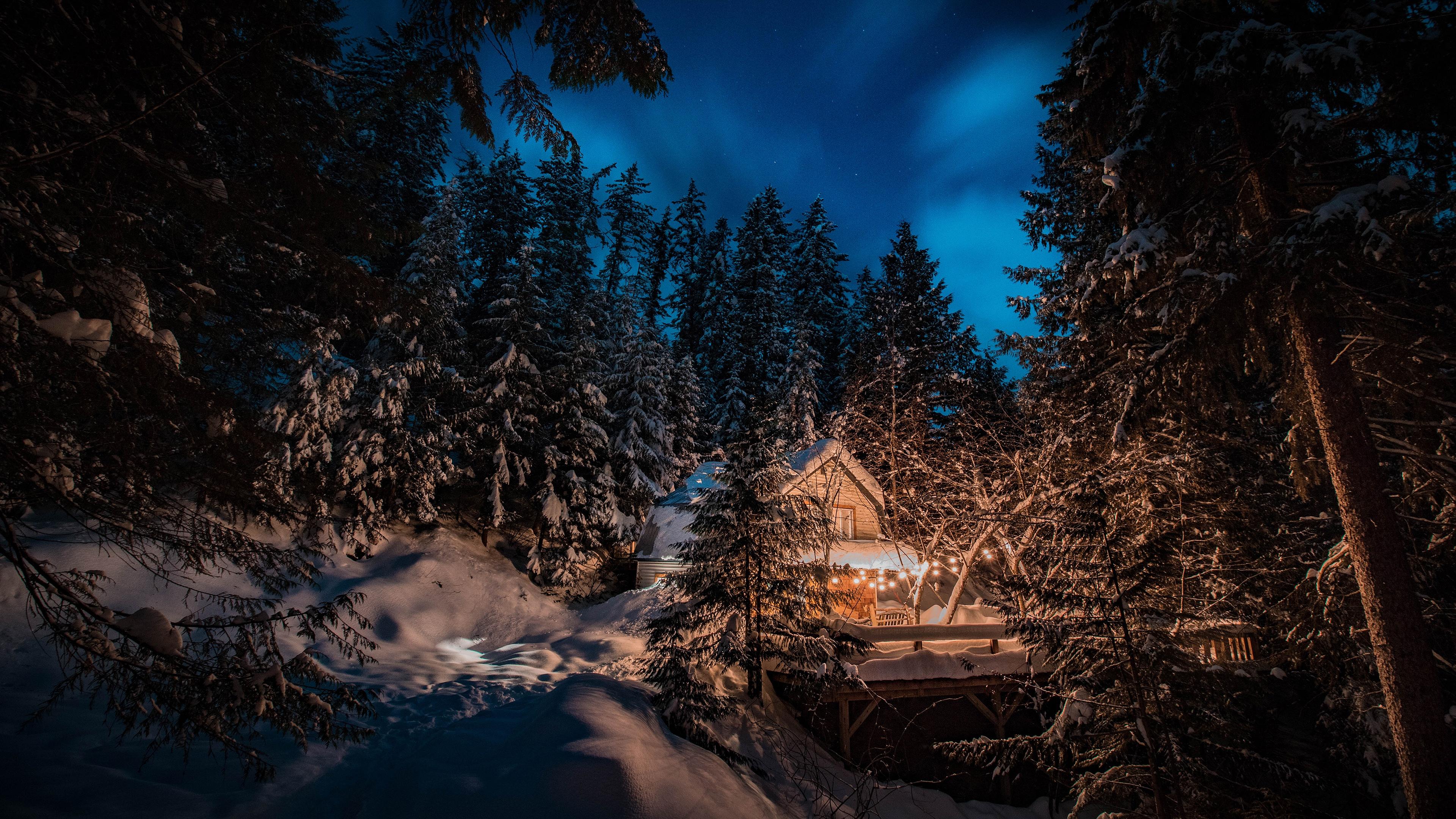 3840x2160 Photography Winter 4K, Fir Tree, Christmas, House, Night, Snow, Forest Gallery HD Wallpaper