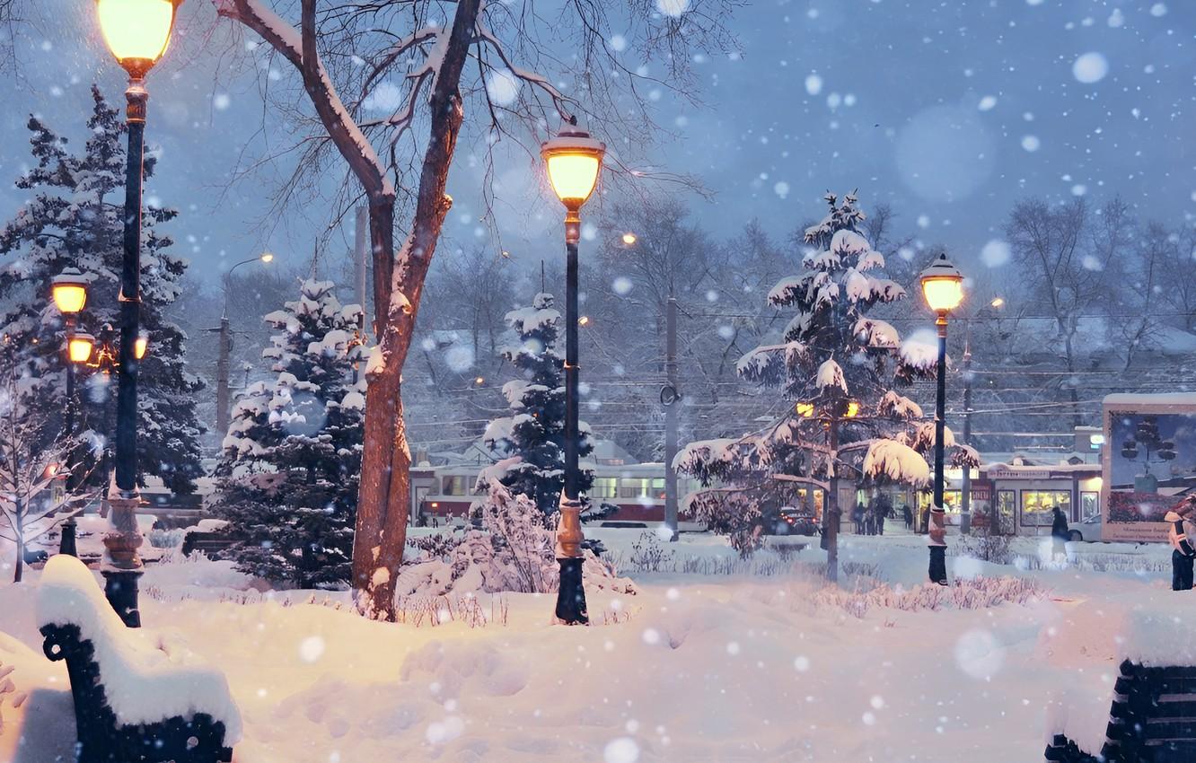 1332x850 Wallpaper The city, City, Winter evening, Snow trees, Winter evening, Snowy trees image for desktop, section пейзажи