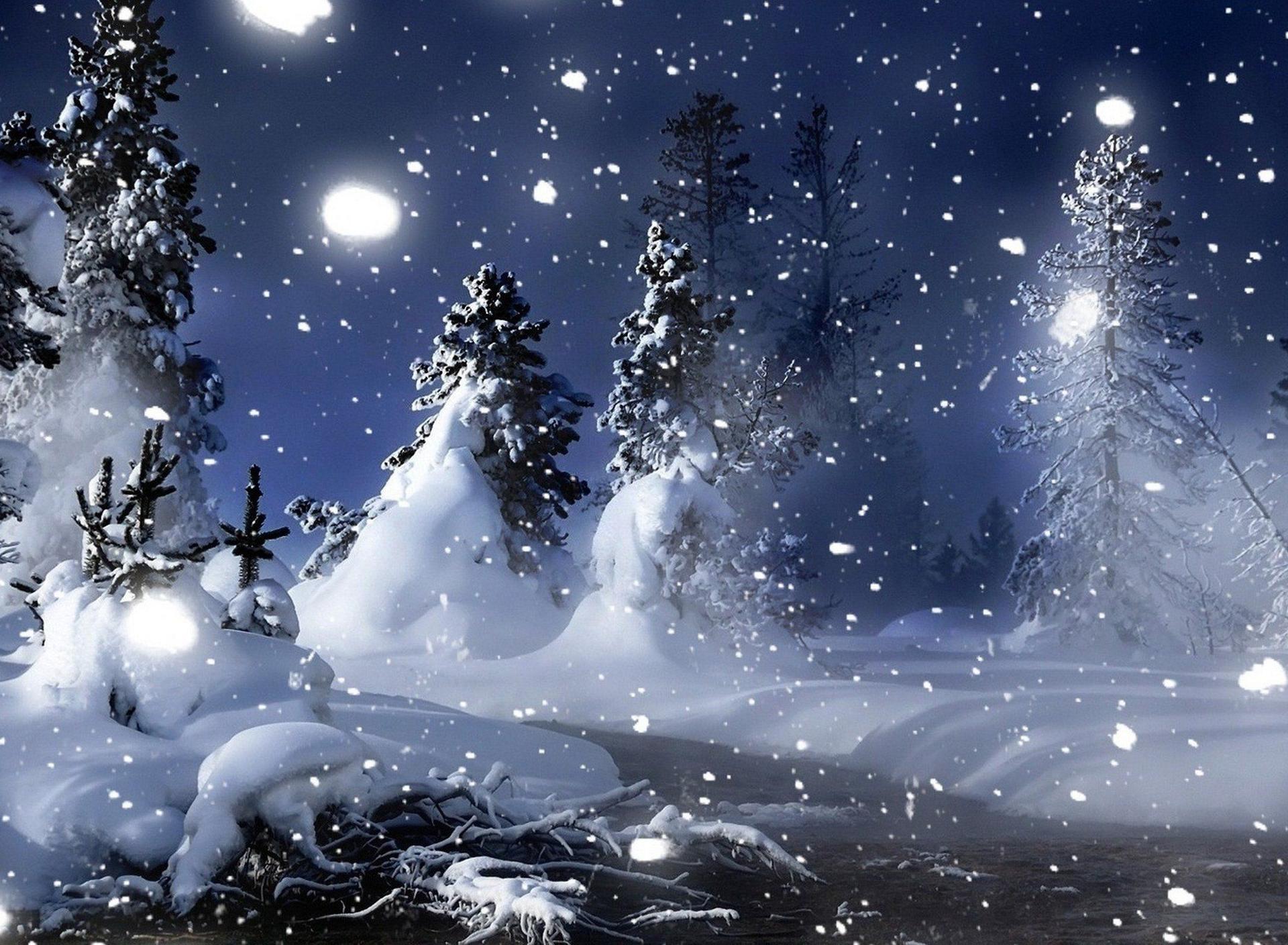 1920x1408 Cold winter night time over Forest