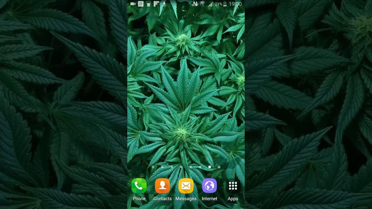 1280x720 Weed Live Wallpaper
