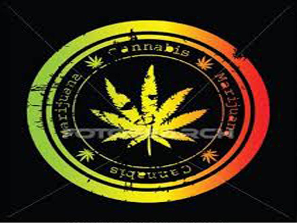 1024x768 International MI Art; Jamaica moving image art for the digital