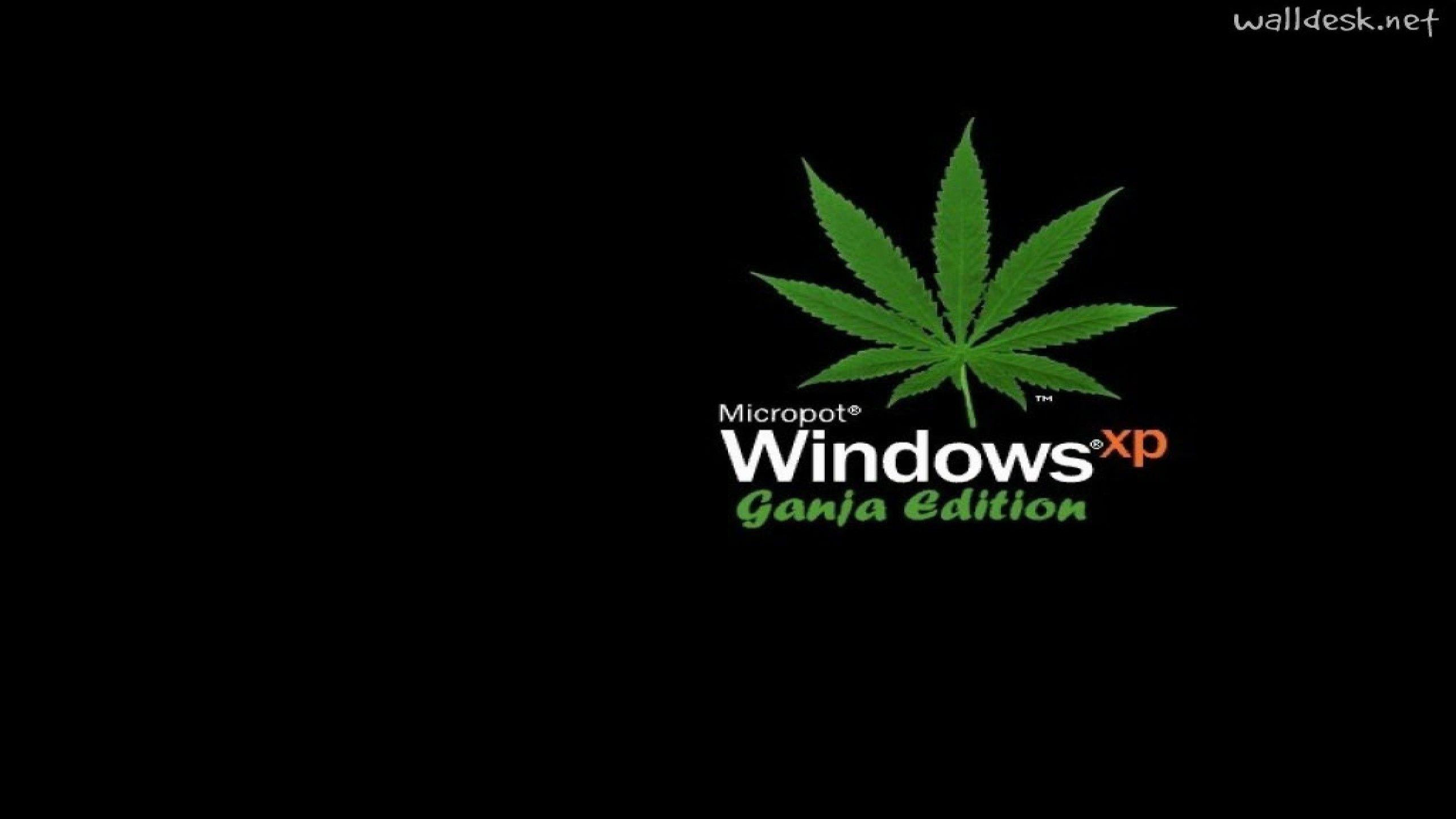 2560x1440 Moving Weed Wallpaper For Windows