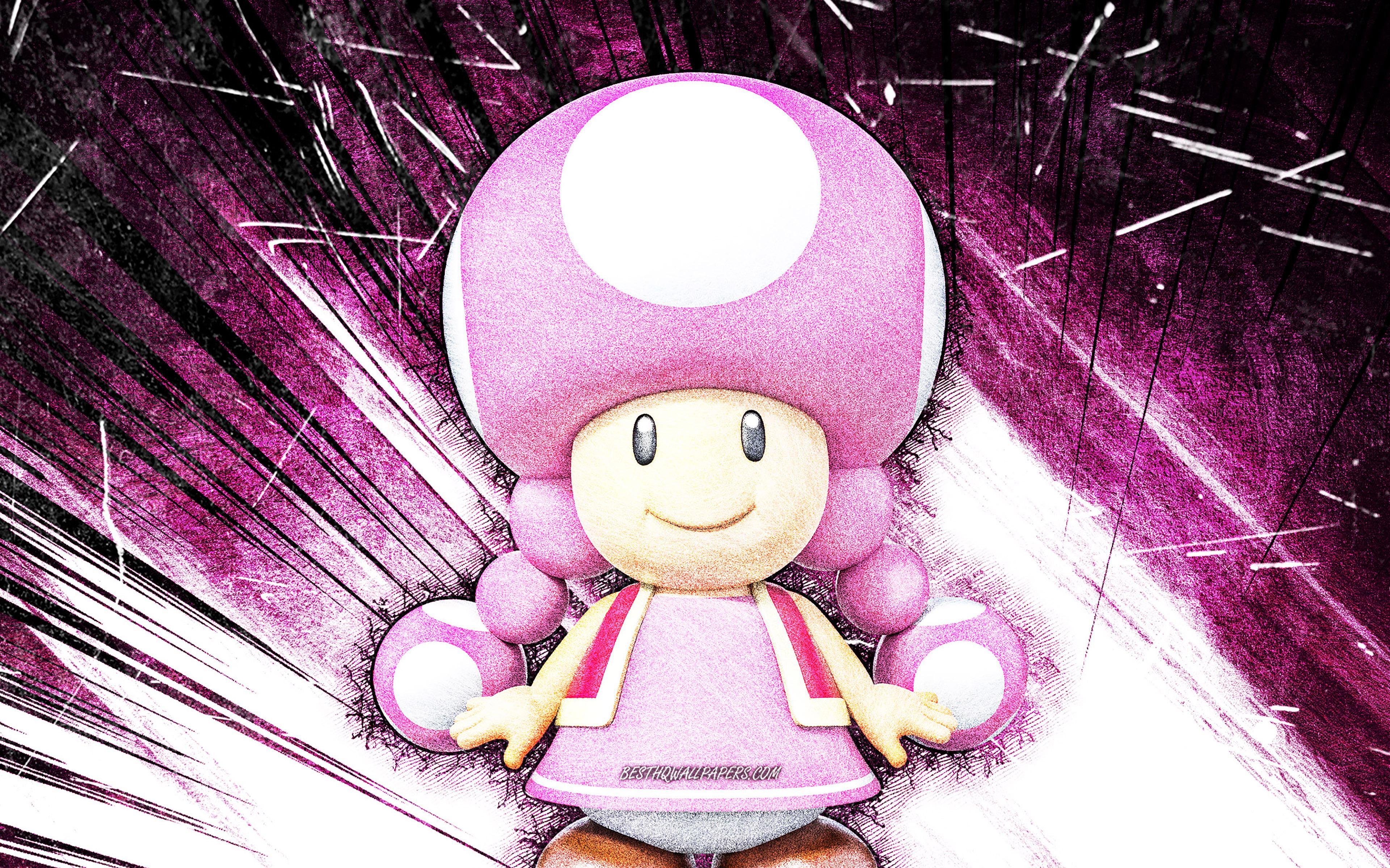 Toadette Wallpapers Top Free Toadette Backgrounds Wallpaperaccess 4557