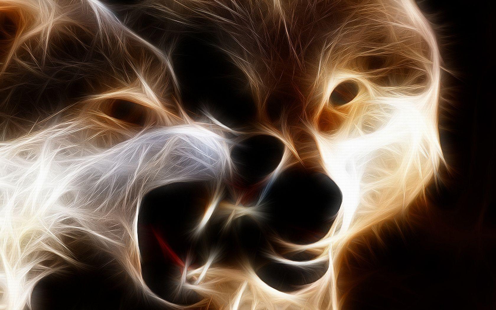1680x1050 Snarling Angry Wolf Wolves Awesome Dog Wallpaper White Background