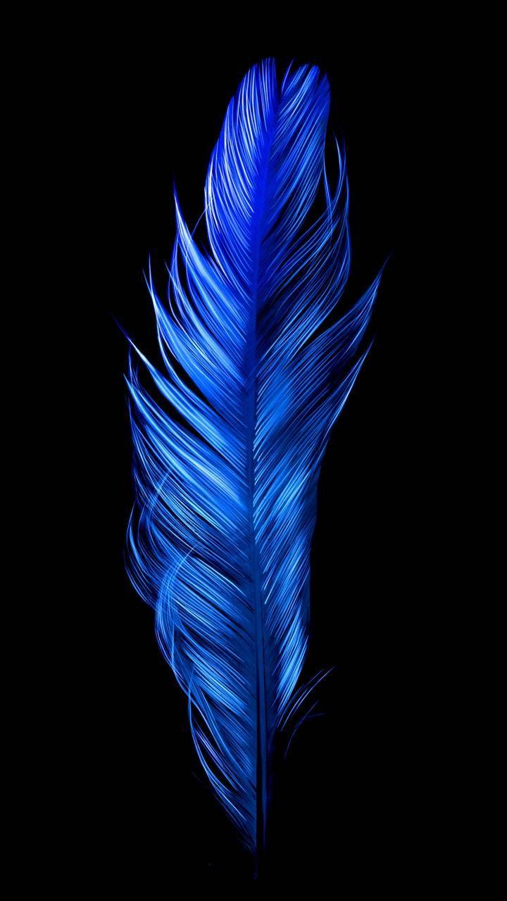720x1280 Download Blue Bird Feather wallpaper by Electric Art now. Browse millions of popul. Feather wallpaper, Black wallpaper, Royal blue wallpaper