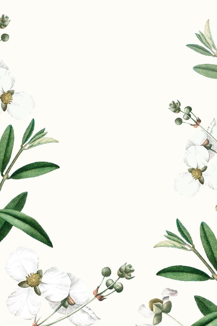 736x1104 White flower on a beige background vector template / Kap. Flower background iphone, White lily flower, Flower background wallpaper