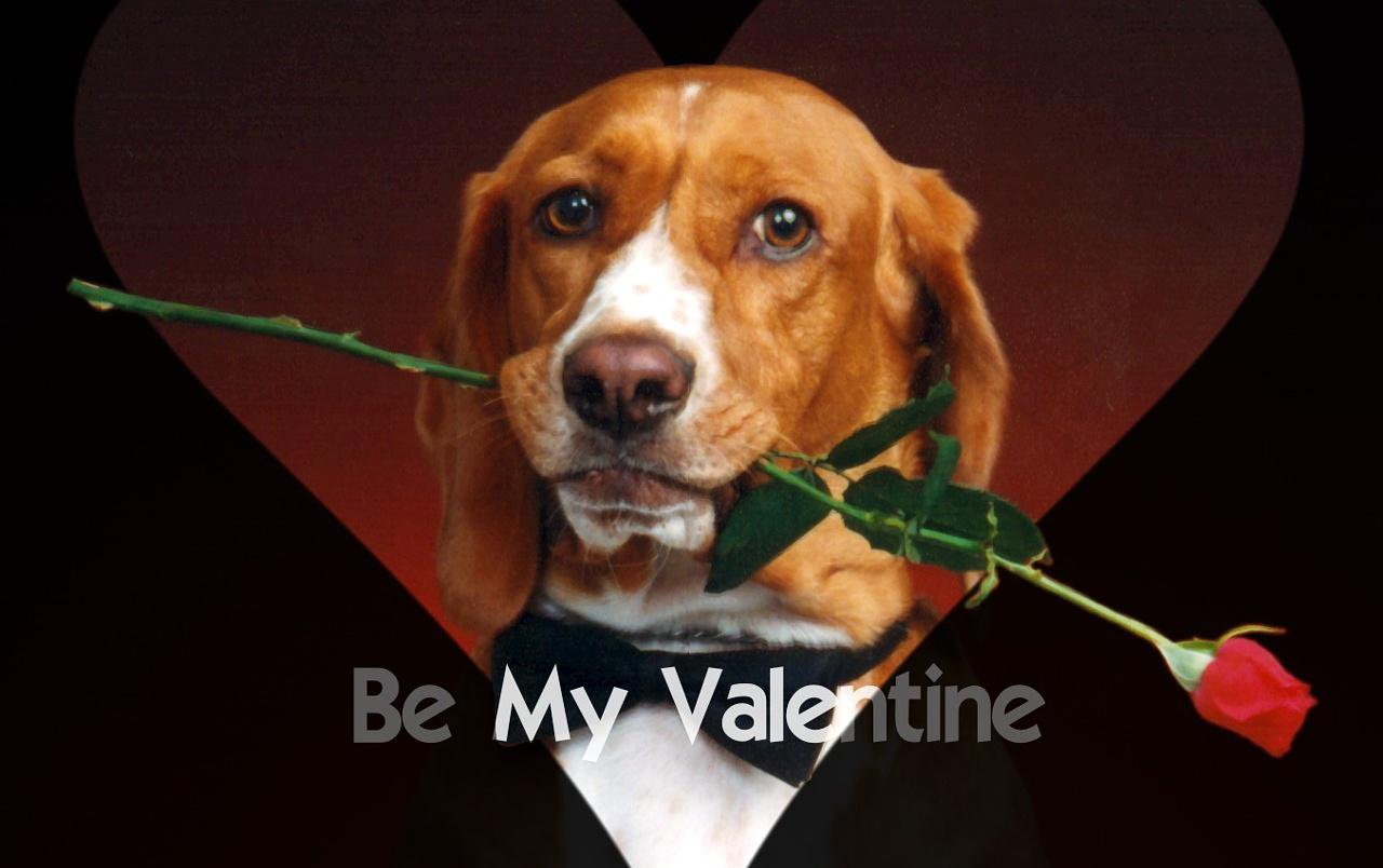 1280x804 Be My Valentine wallpaper. Be My Valentine